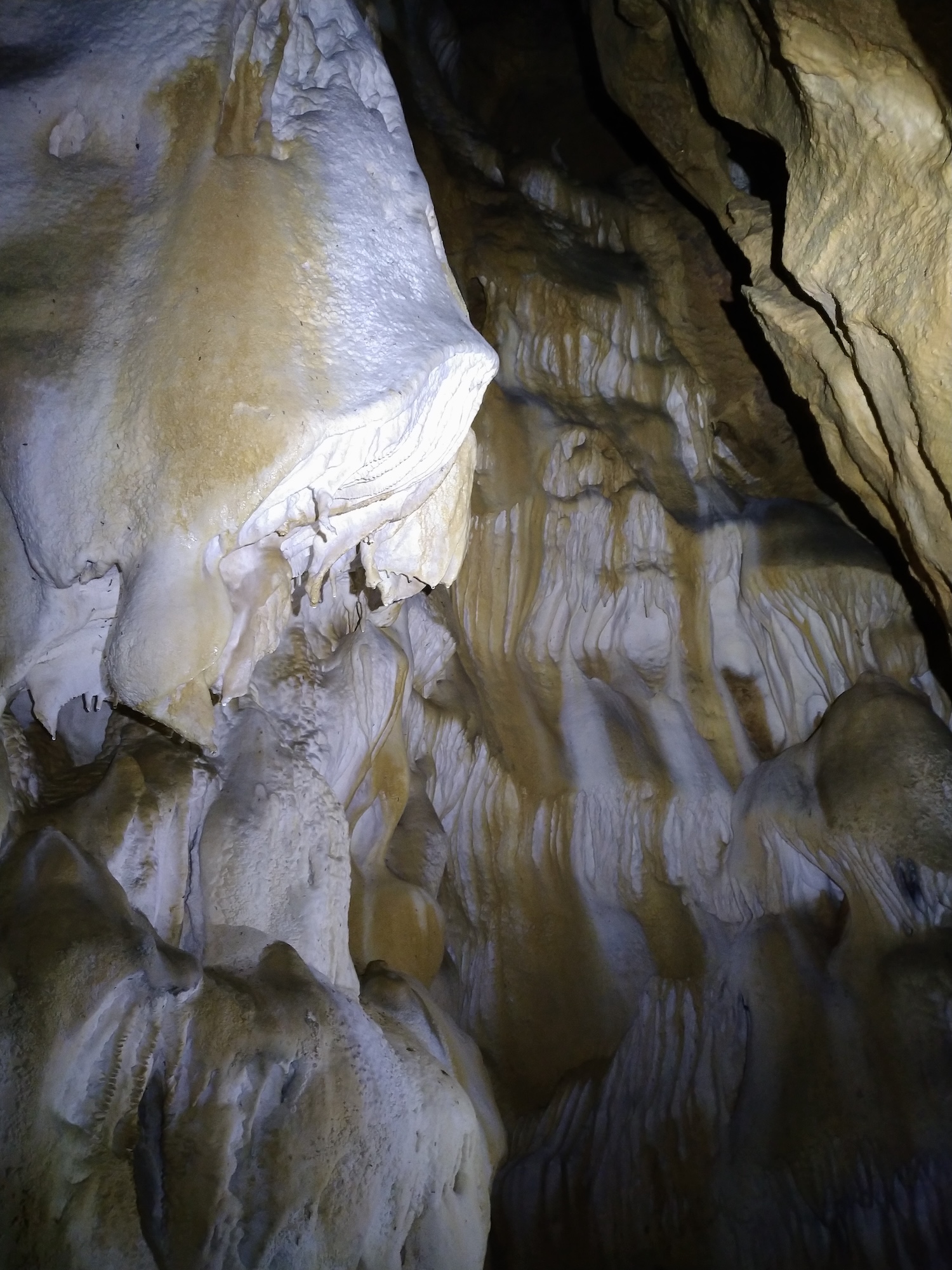 Peştera Lenuţa de la Trei Cleanţuri - Image 6