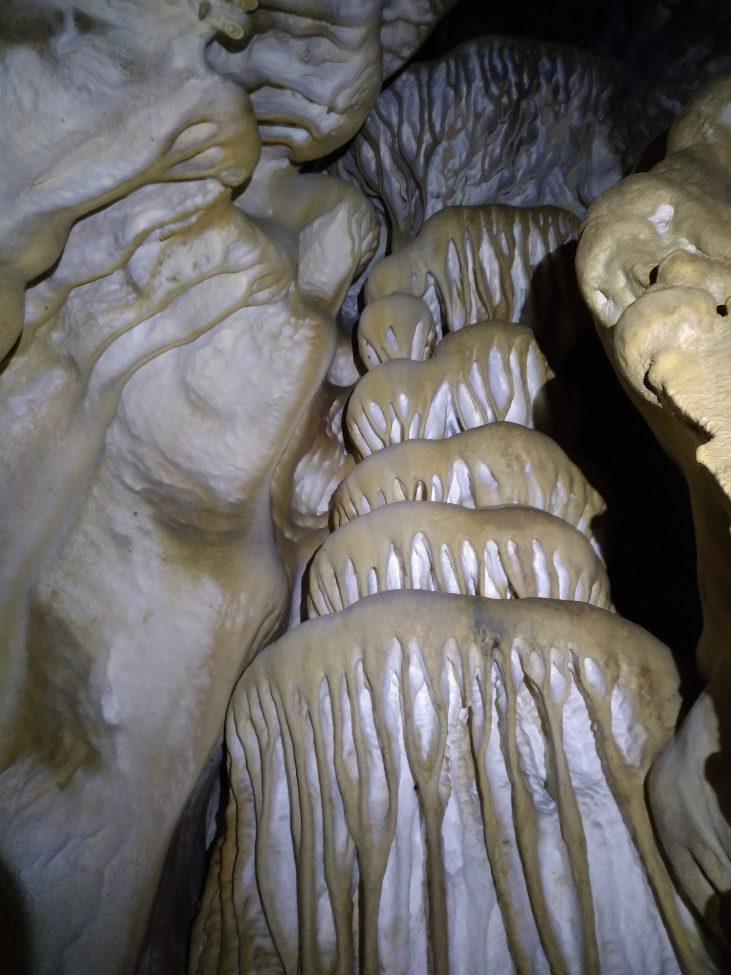 Peştera Lenuţa de la Trei Cleanţuri - Image 7