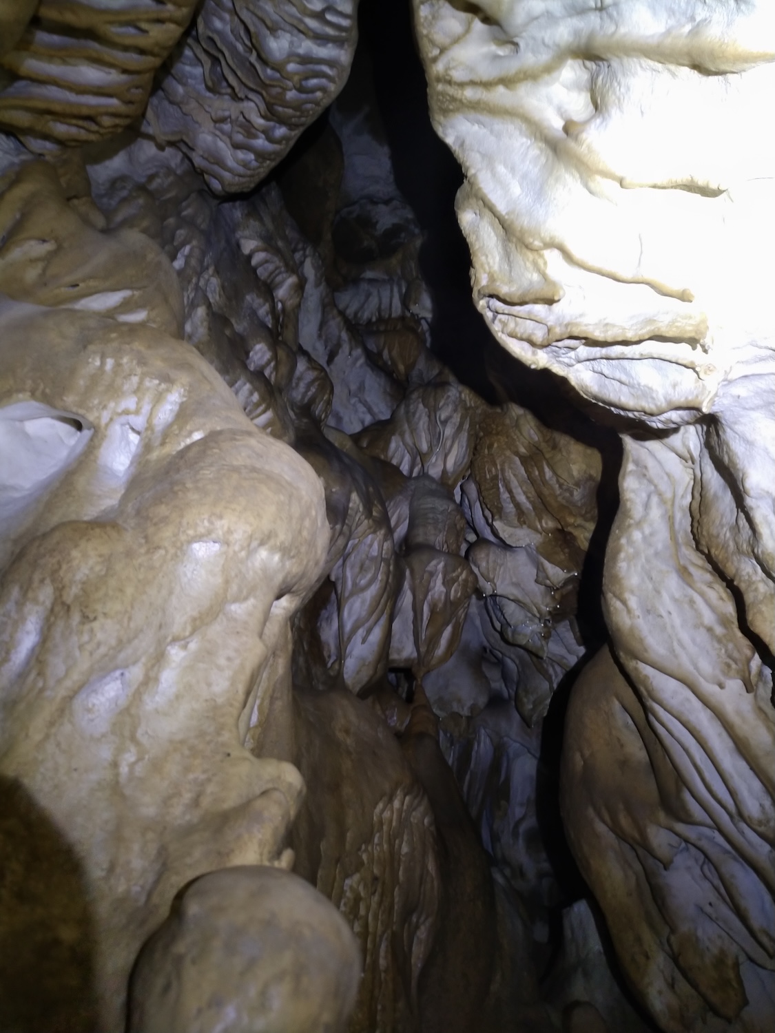 Peştera Lenuţa de la Trei Cleanţuri - Image 8