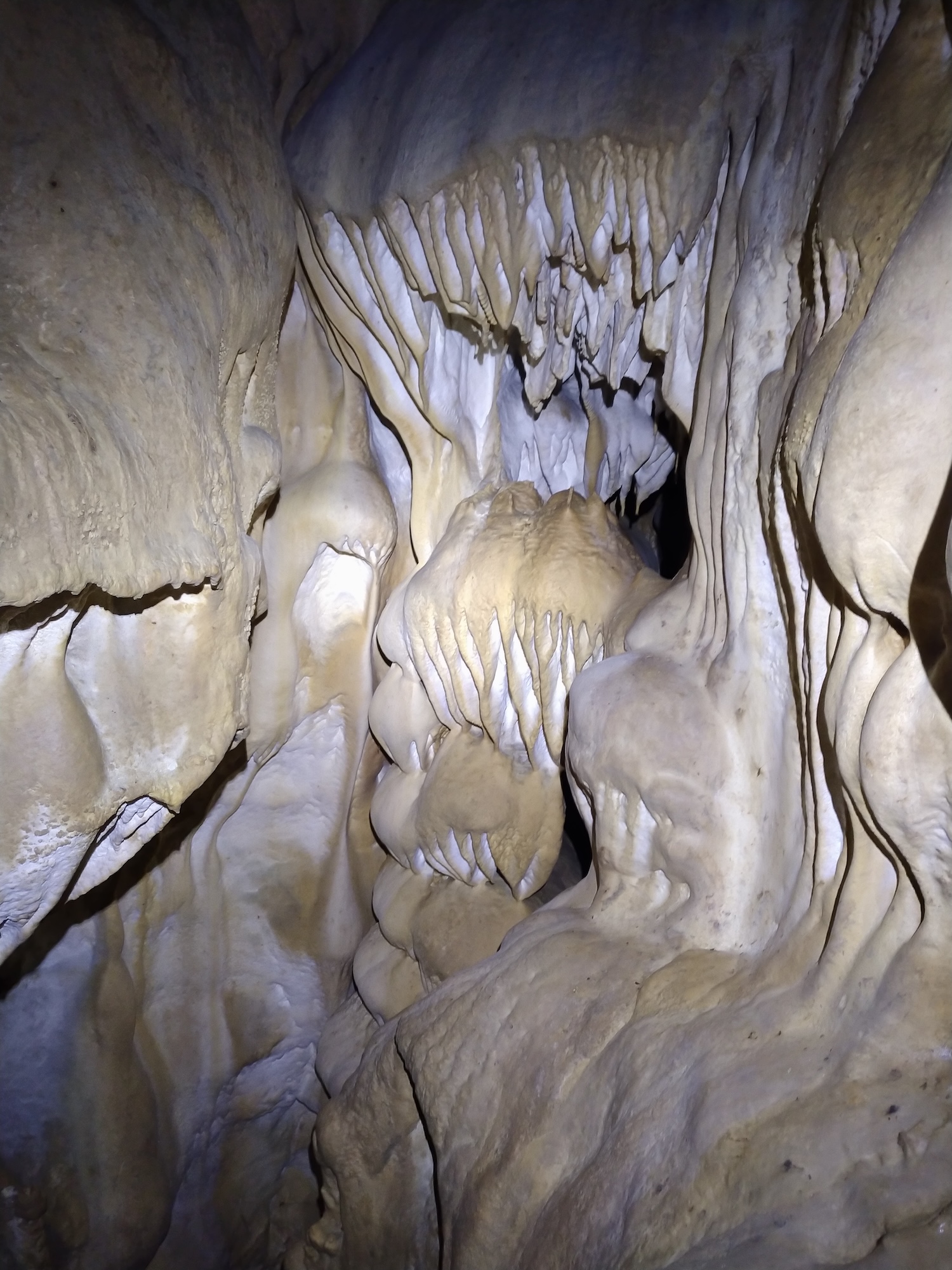 Peştera Lenuţa de la Trei Cleanţuri - Image 9