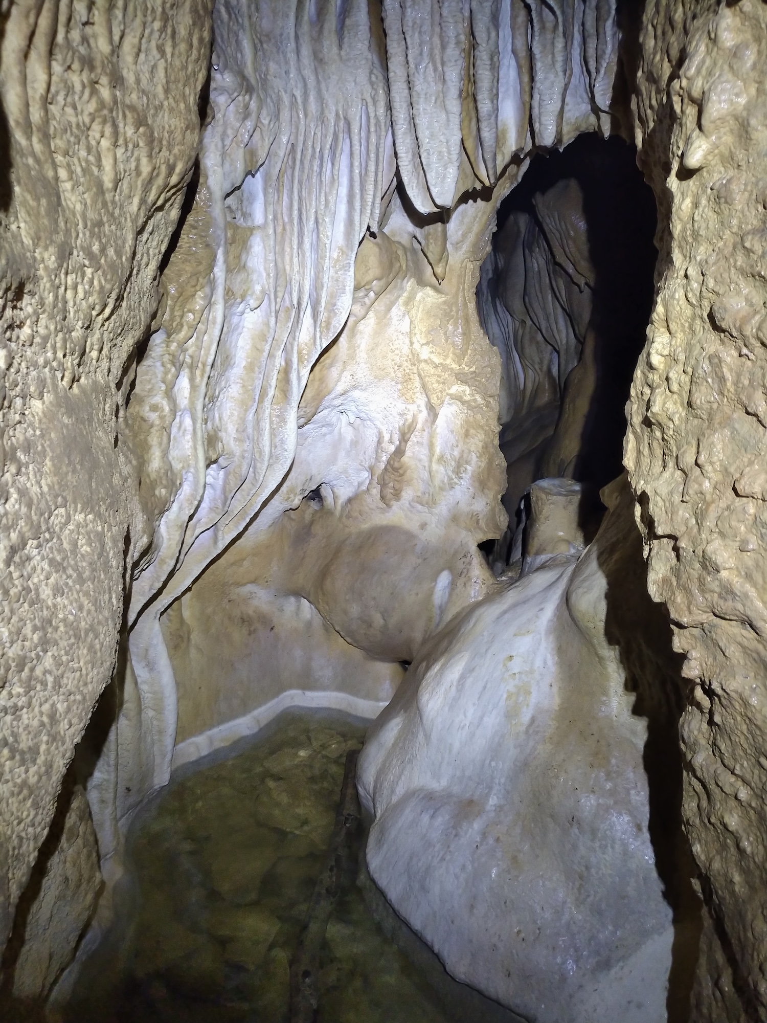 Peştera Lenuţa de la Trei Cleanţuri - Image 10