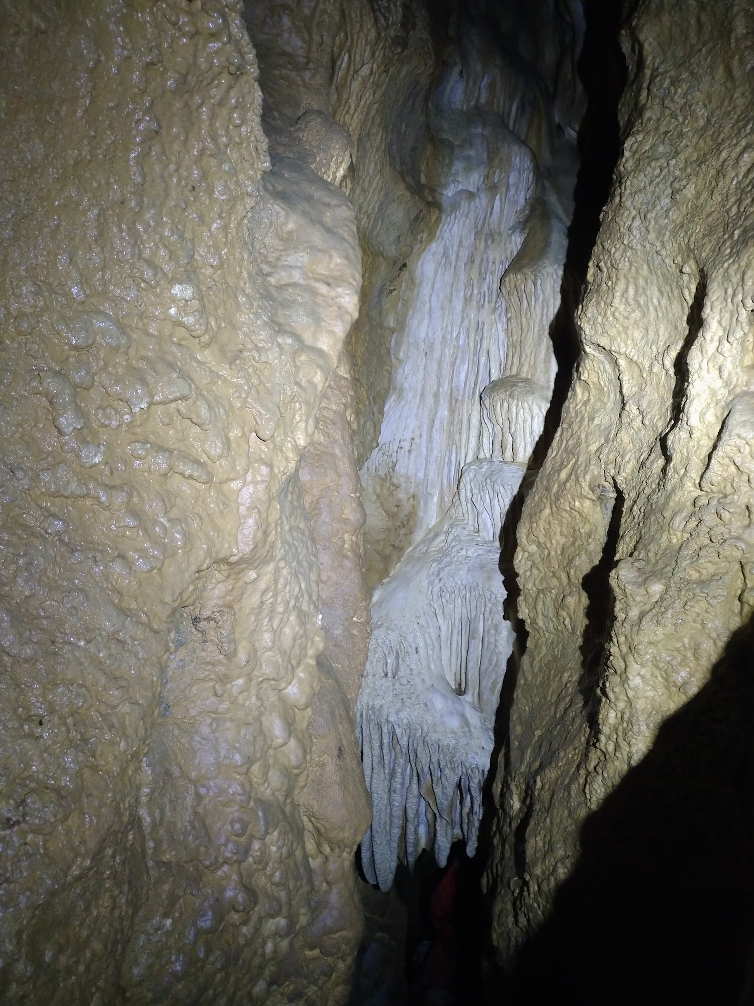 Peştera Lenuţa de la Trei Cleanţuri - Image 11