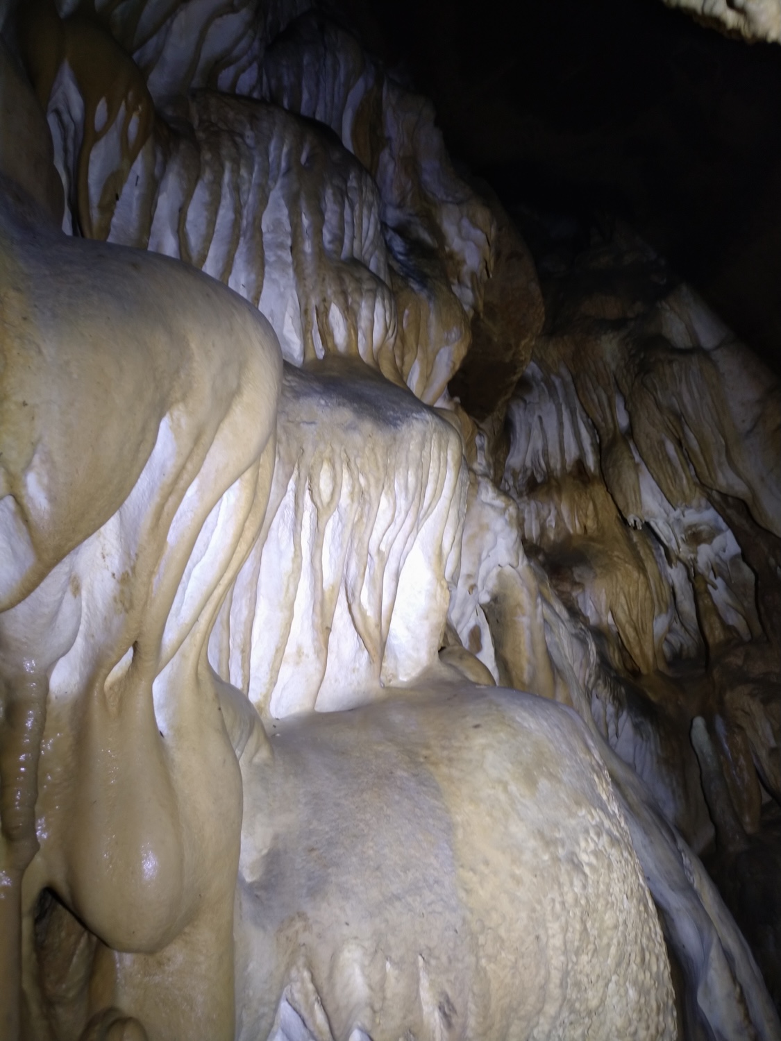 Peştera Lenuţa de la Trei Cleanţuri - Image 12