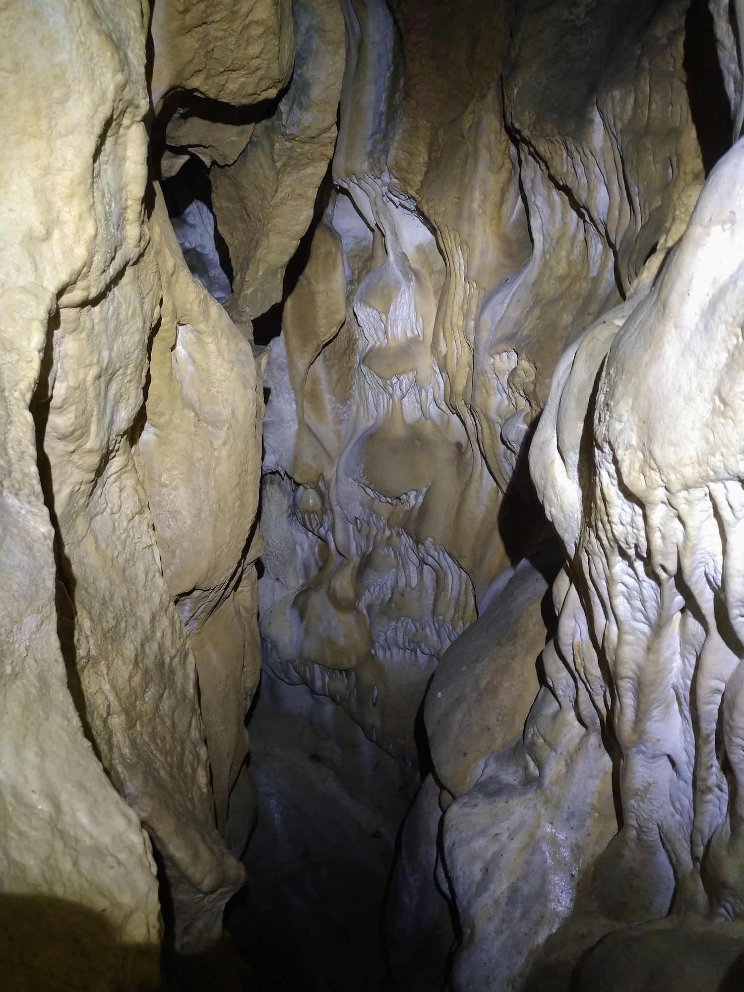 Peştera Lenuţa de la Trei Cleanţuri - Image 13