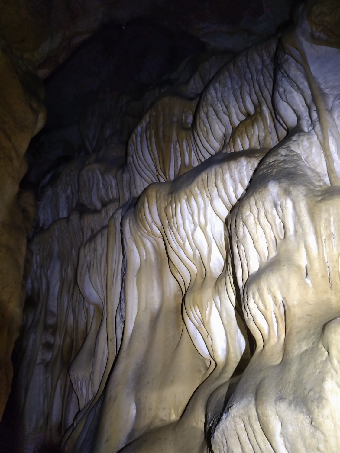 Peştera Lenuţa de la Trei Cleanţuri - Image 14