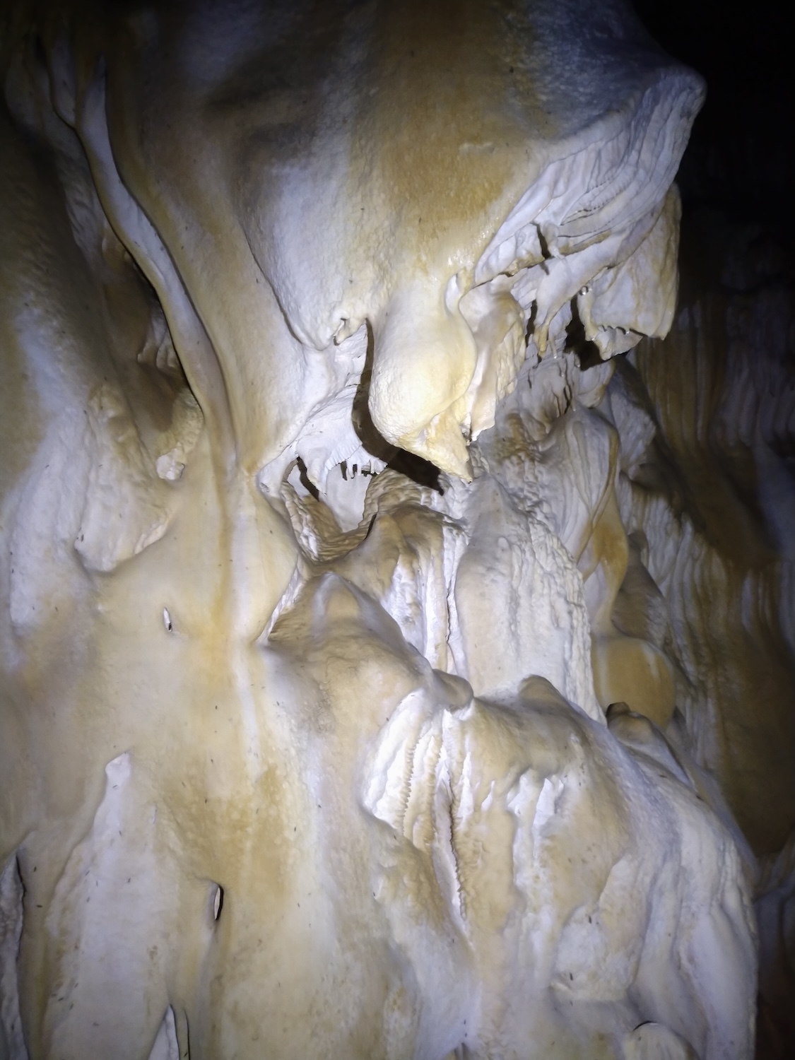 Peştera Lenuţa de la Trei Cleanţuri - Image 16