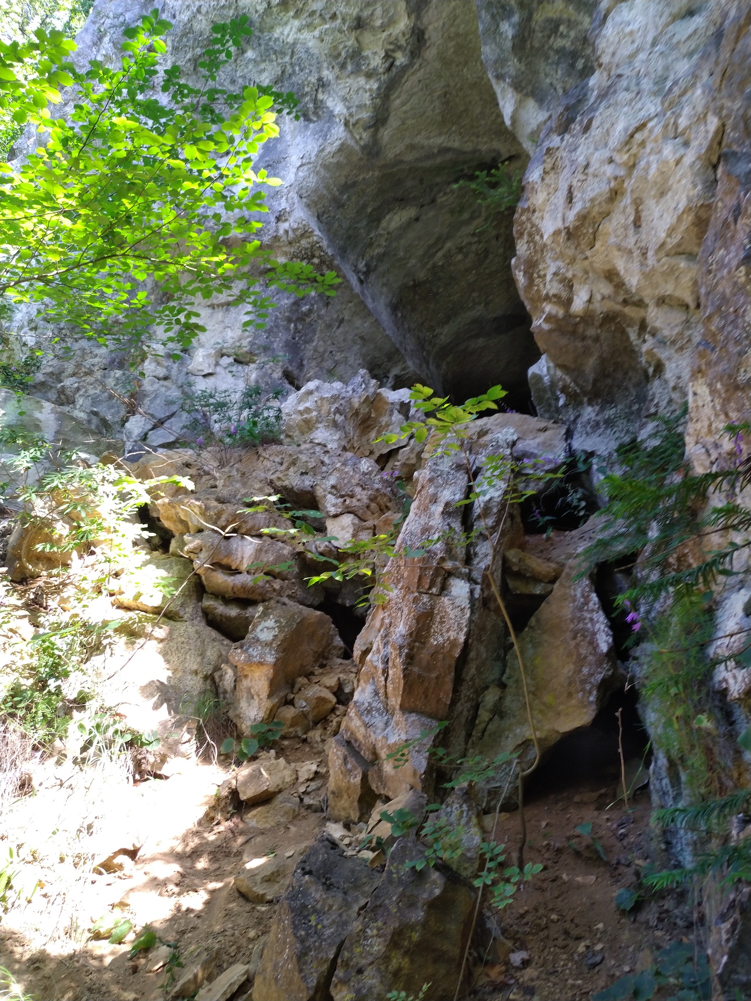 Peştera Lenuţa de la Trei Cleanţuri - Image 3