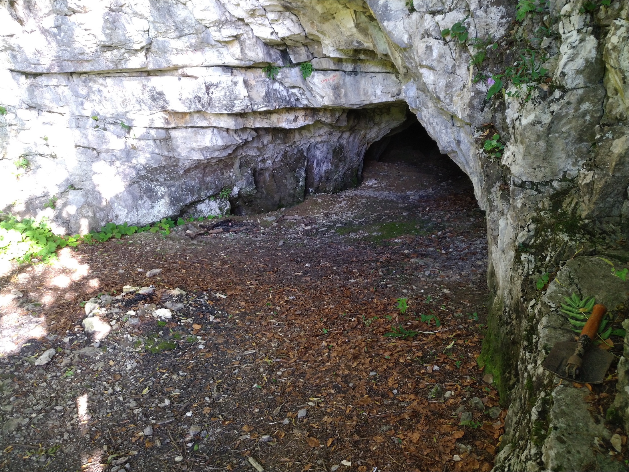 Peştera Sfânta Elena - Image 4