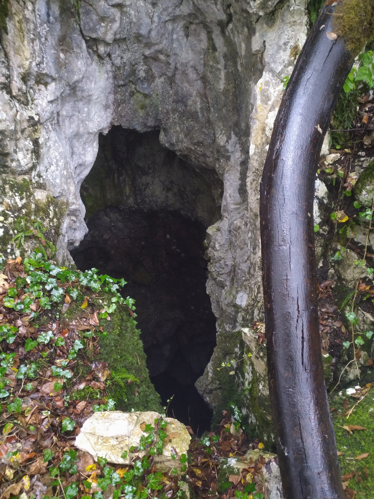 Avenul Dibaci - Image 1