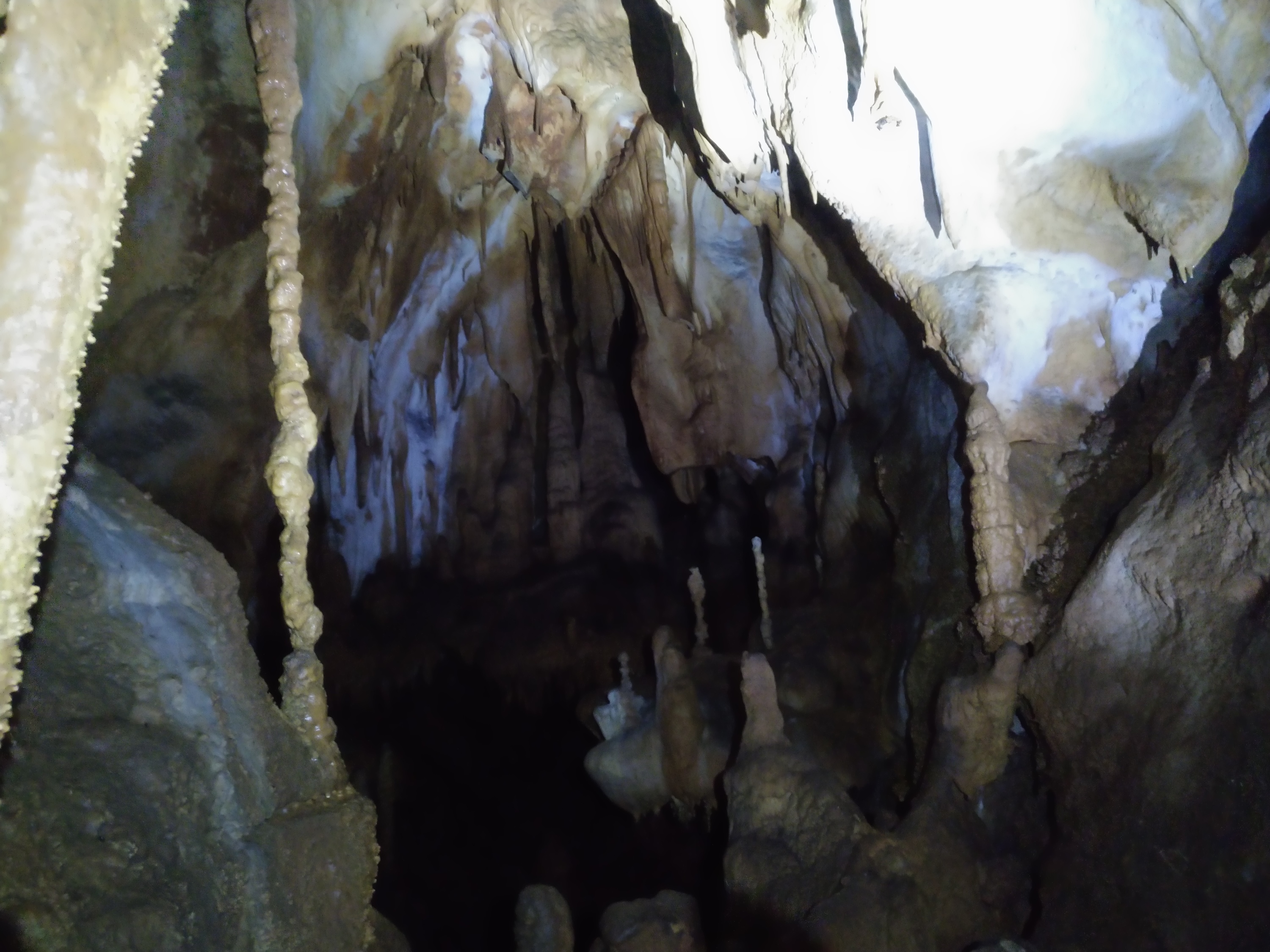 Avenul Dibaci - Image 5