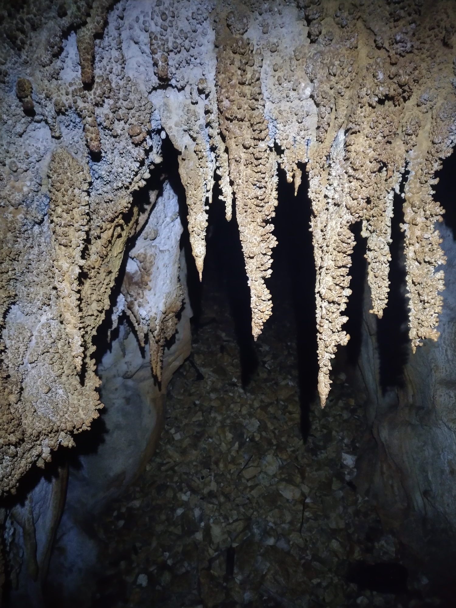 Avenul Dibaci - Image 3