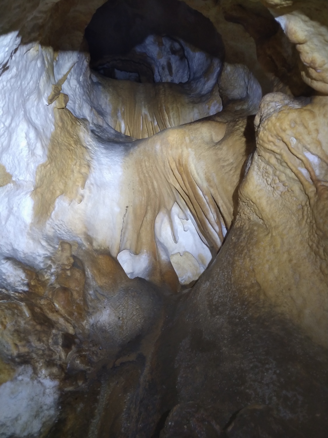 Avenul Dibaci - Image 2