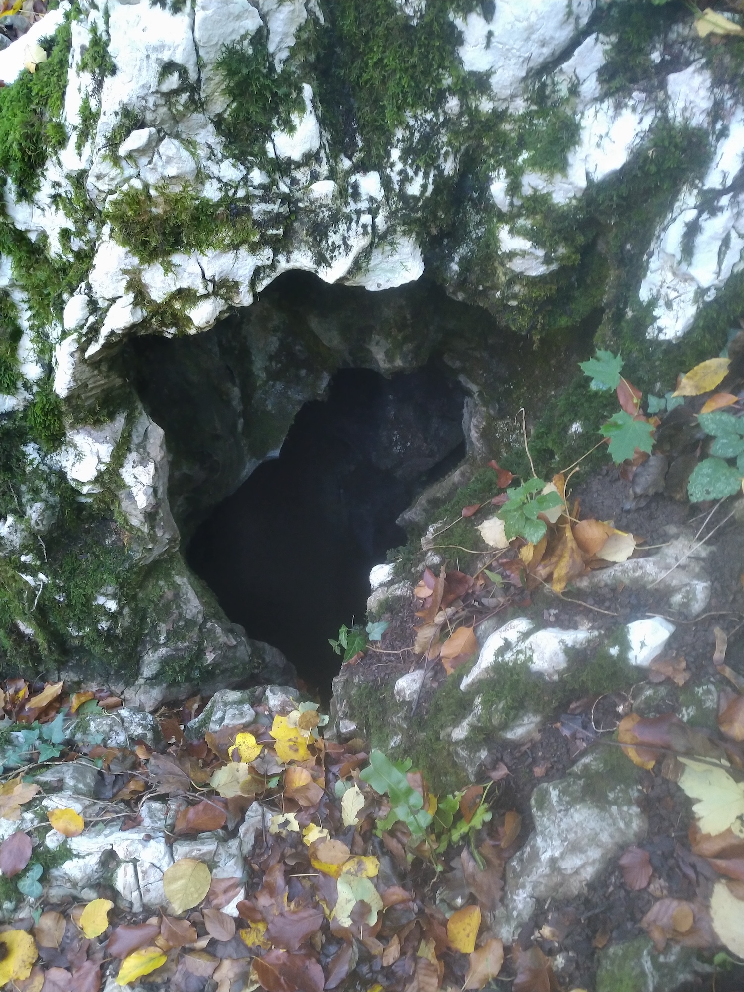 Avenul Socolovăţ Nr.5 - Image 1