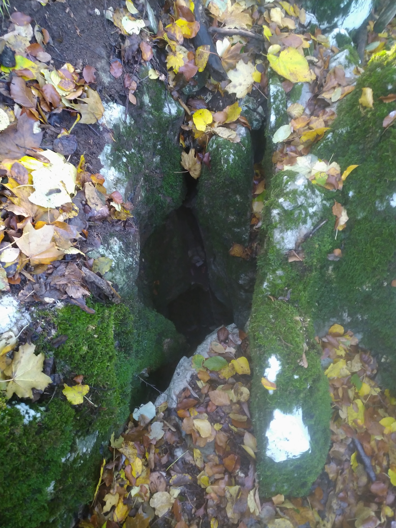 Avenul Argilos - Image 2