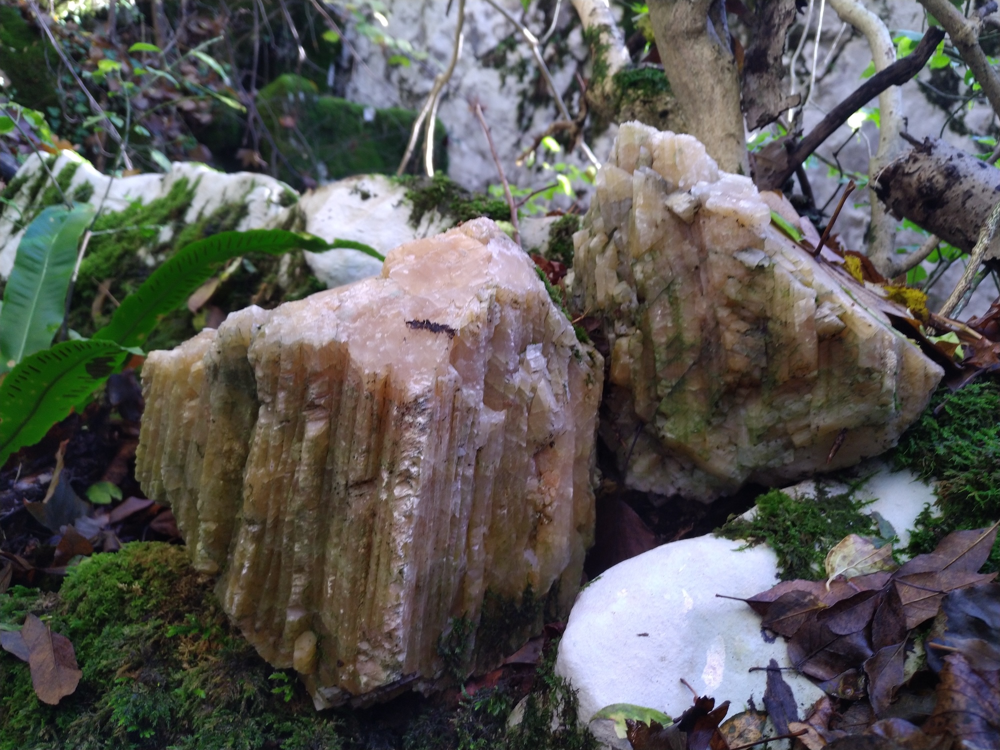 Peștera cu Cristale din Valea Socolovăț - Image 2