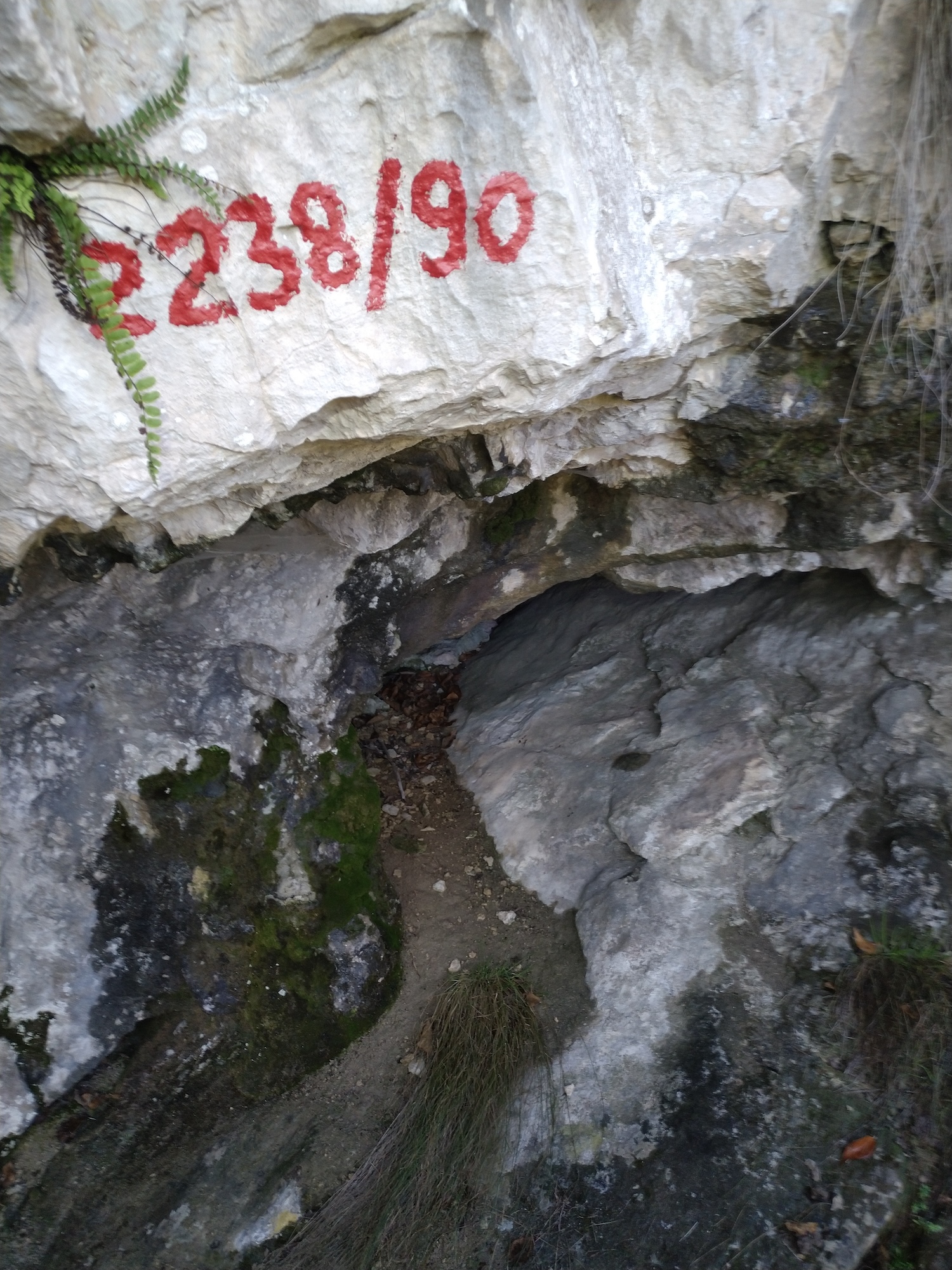 Peștera Nr. 13 din Dealul Socolovăţ - Image 2