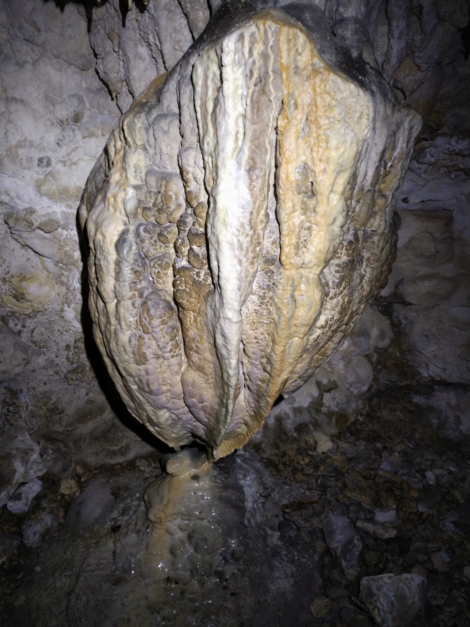 Peștera Nr.1 din Dealul Socolovăţ - Image 14