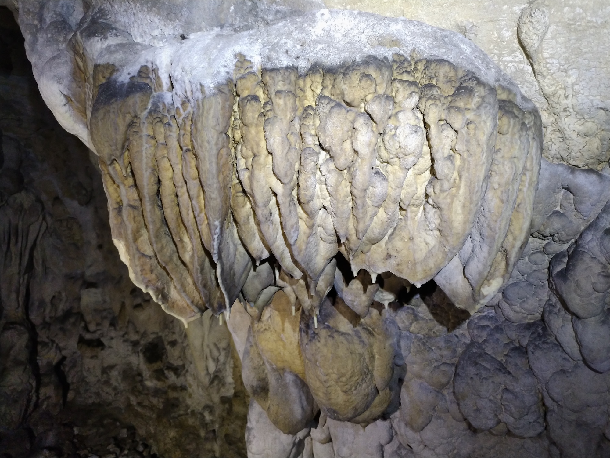 Peștera Nr.1 din Dealul Socolovăţ - Image 13