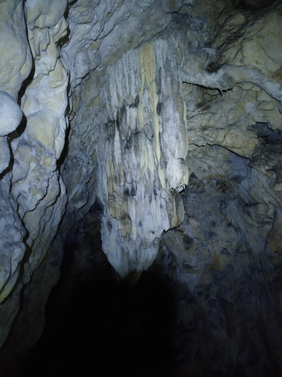 Peștera Nr.1 din Dealul Socolovăţ - Image 12