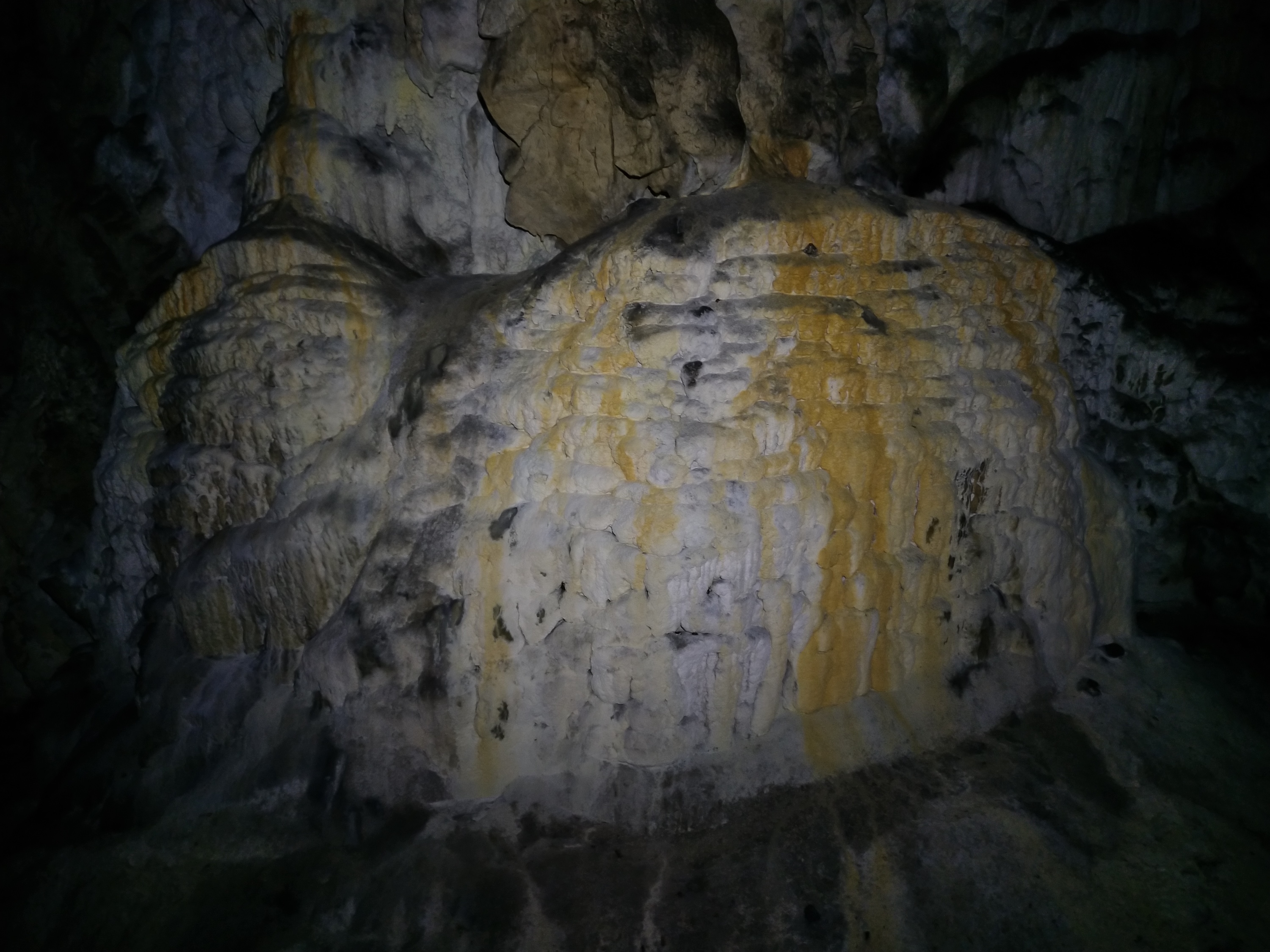 Peștera Nr.1 din Dealul Socolovăţ - Image 10