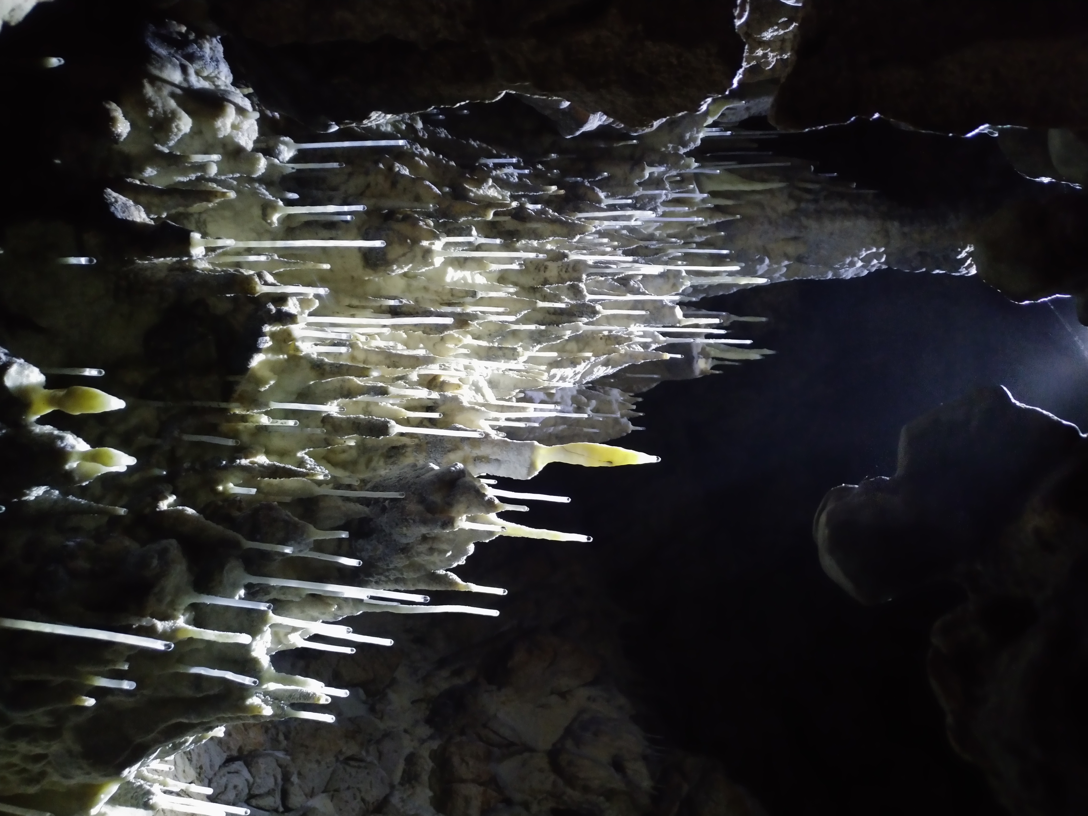 Peștera Nr.1 din Dealul Socolovăţ - Image 5