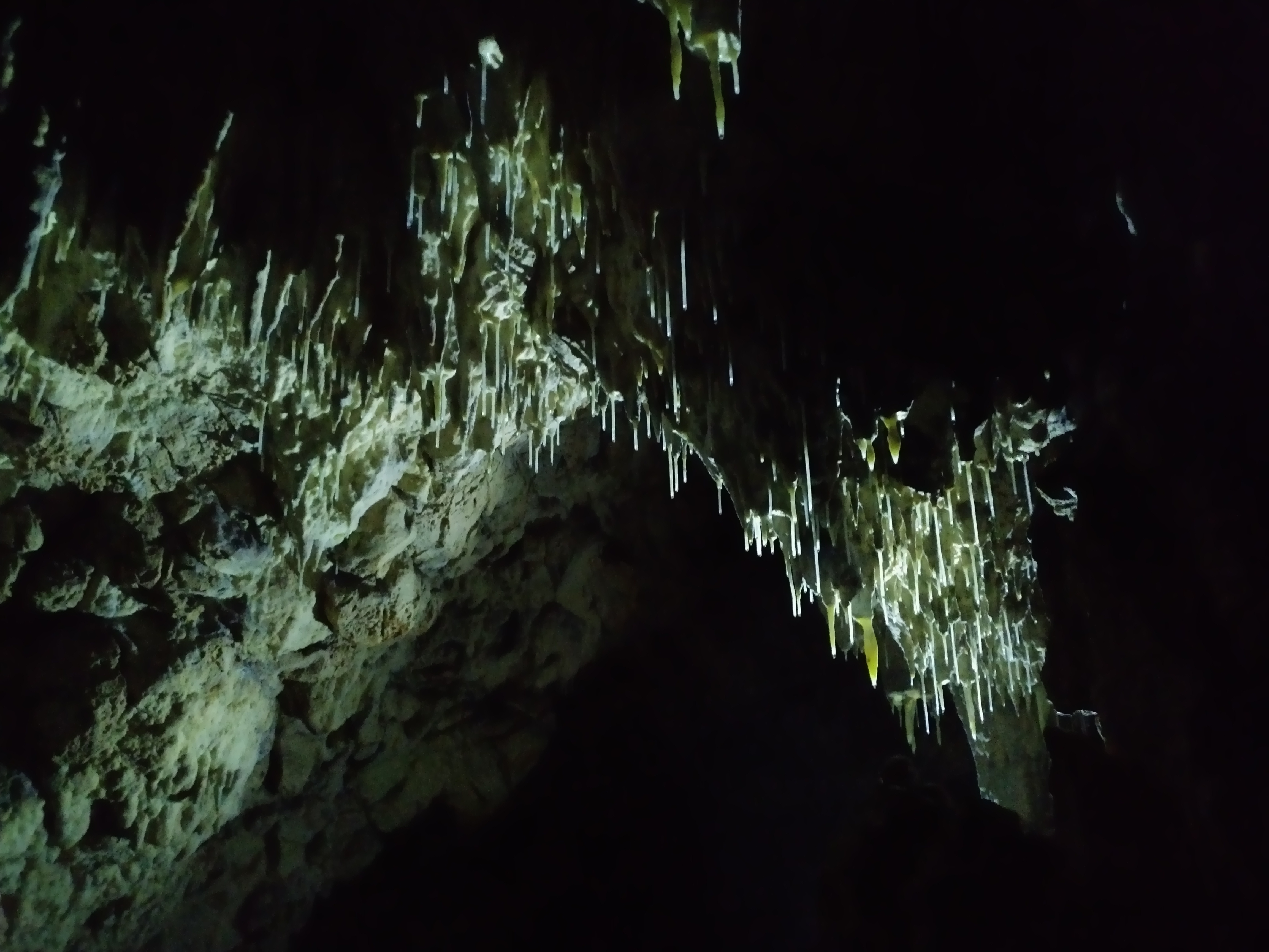 Peștera Nr.1 din Dealul Socolovăţ - Image 4