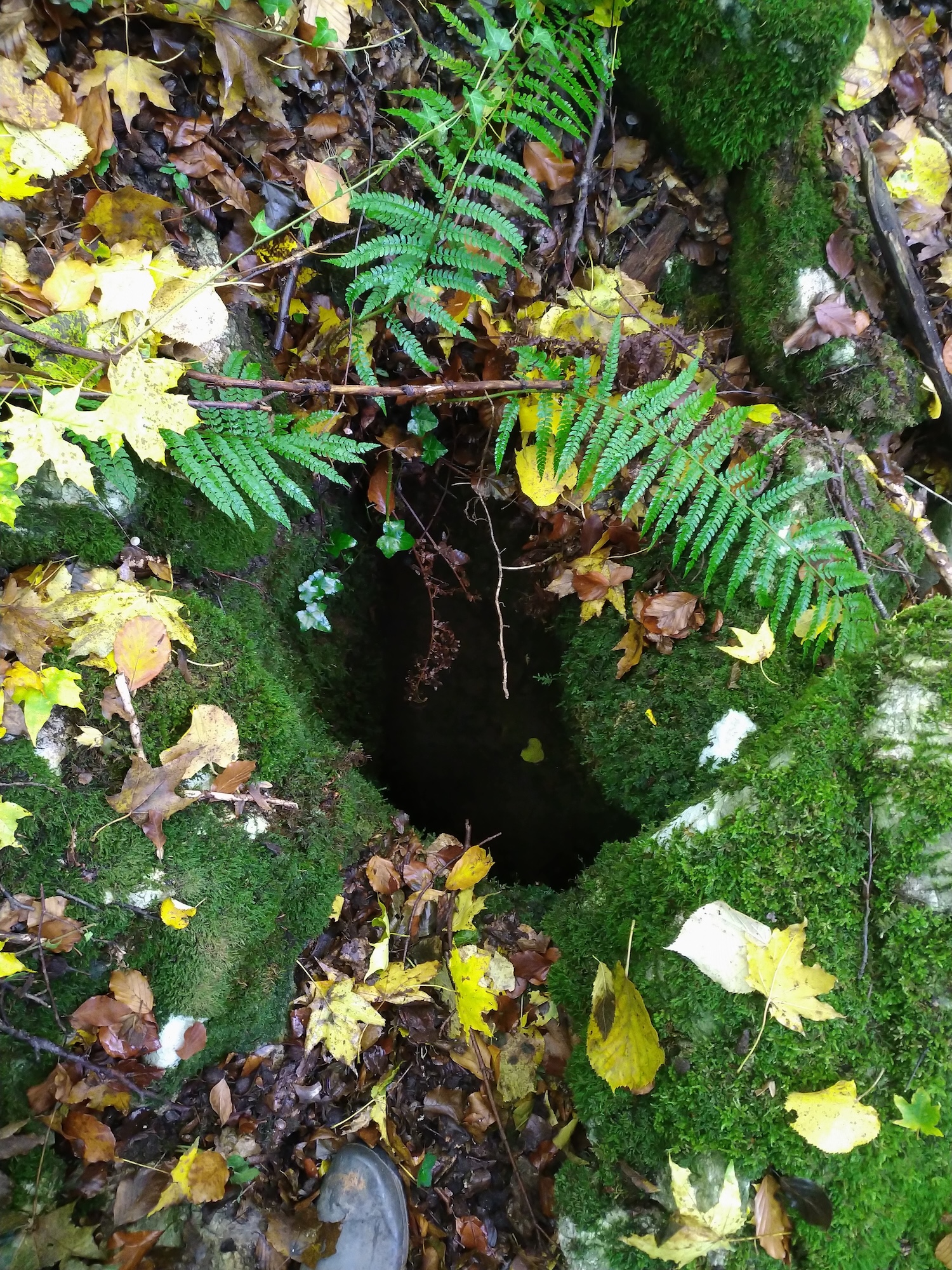 Avenul lui Radu din Socolovăţ - Image 1