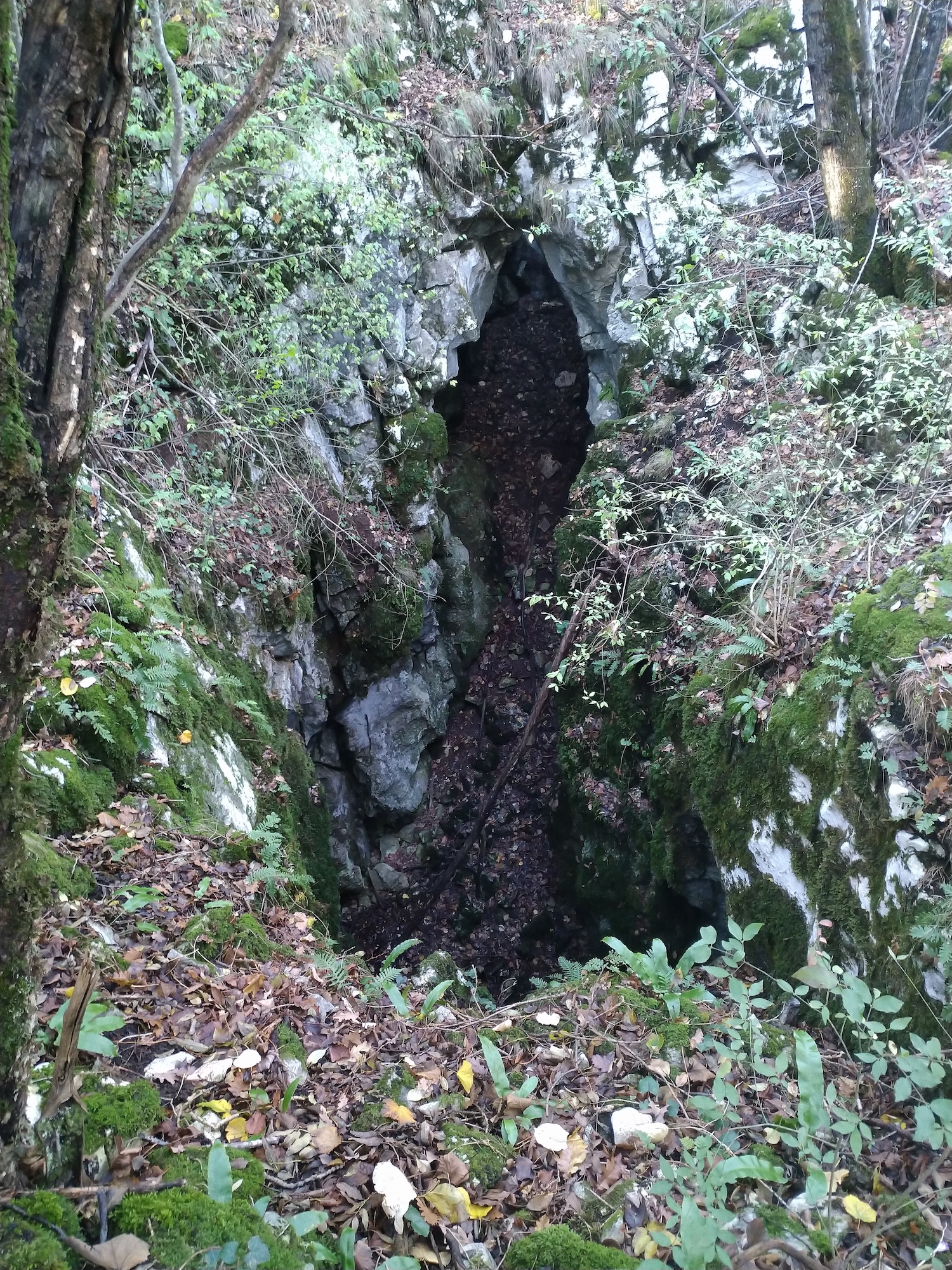 Avenul Socolovăţ Nr.4 - Image 2