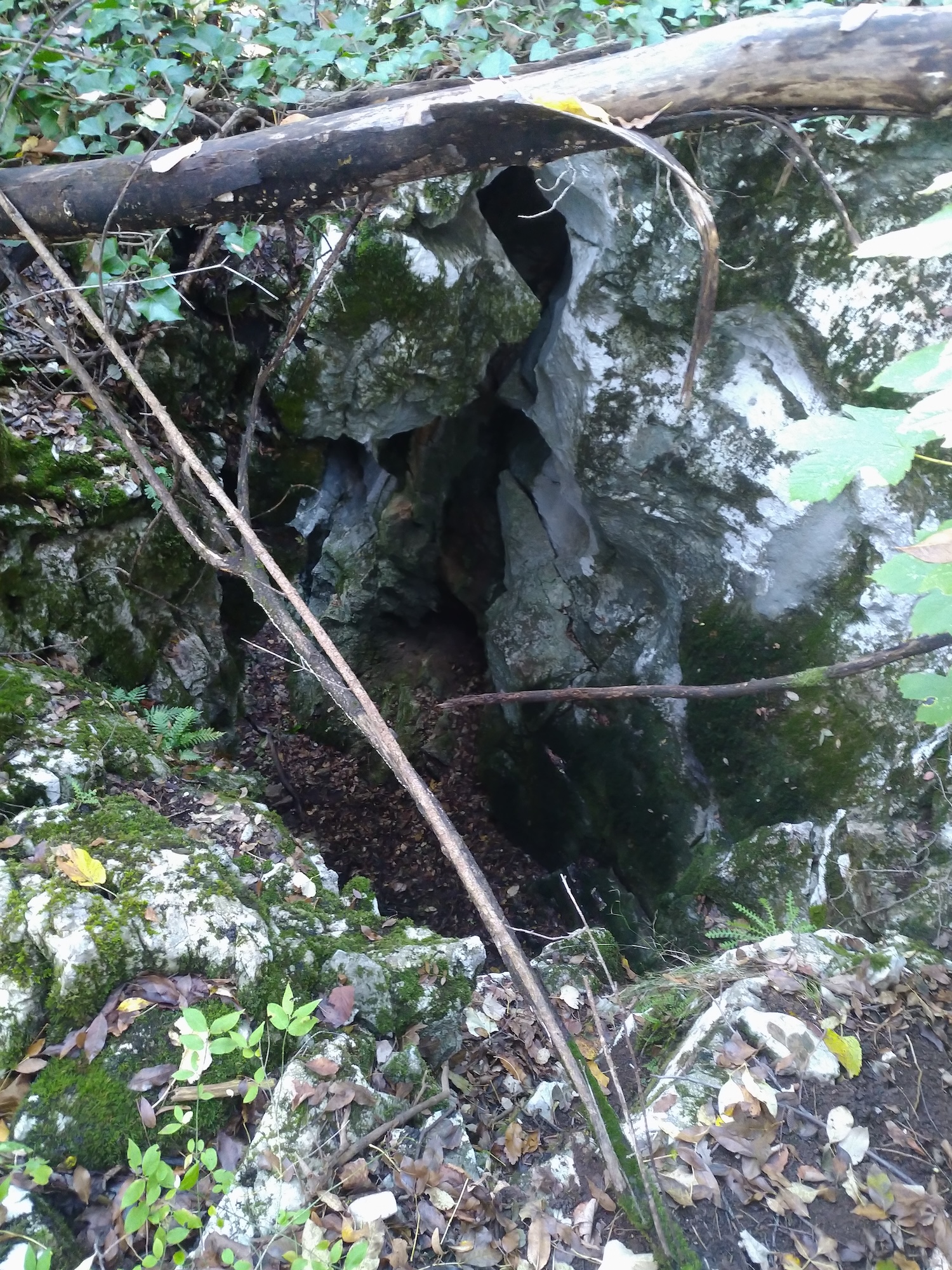 Avenul Socolovăţ Nr.4 - Image 1