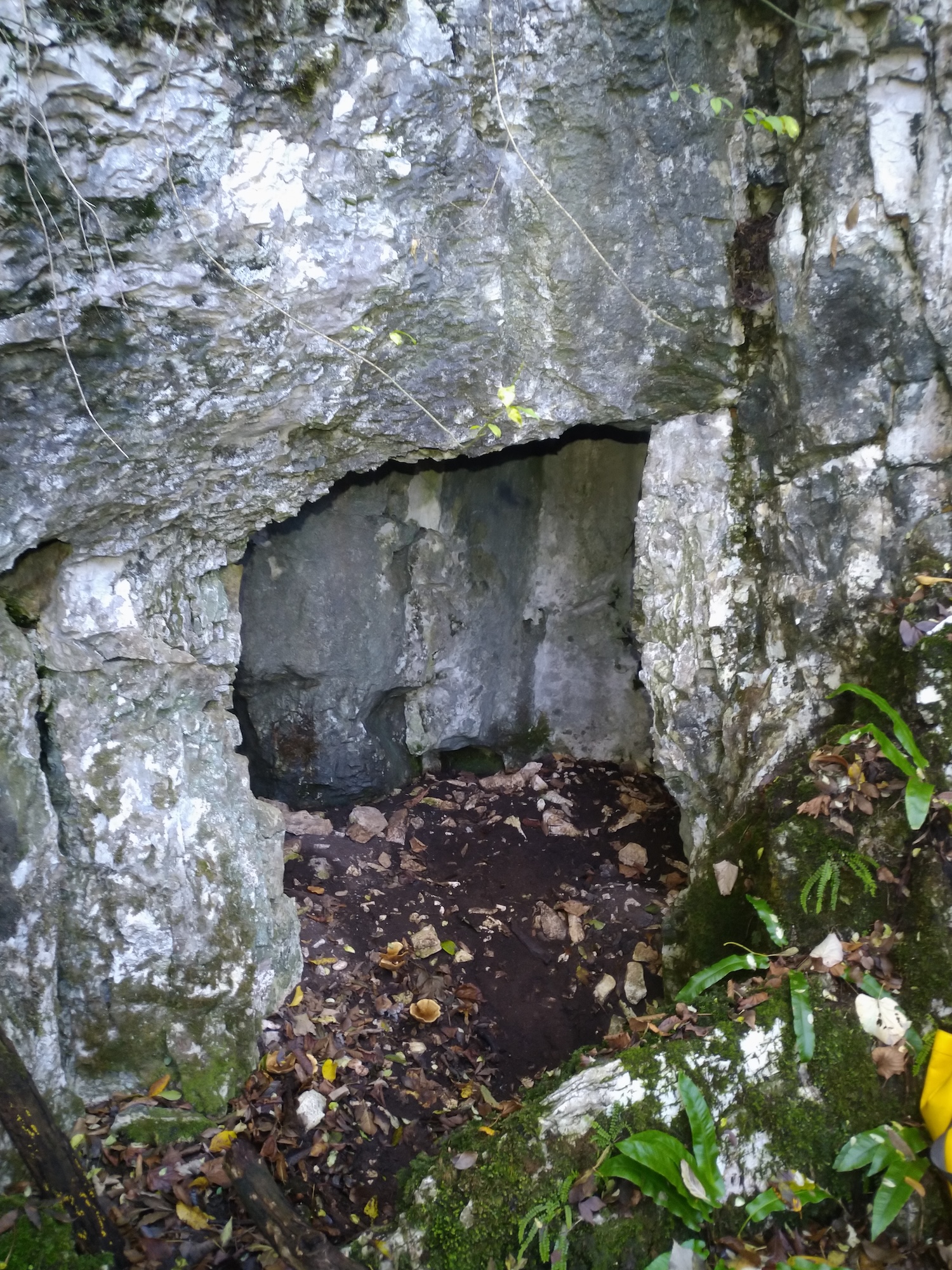 Peștera Vulturului - Image 2