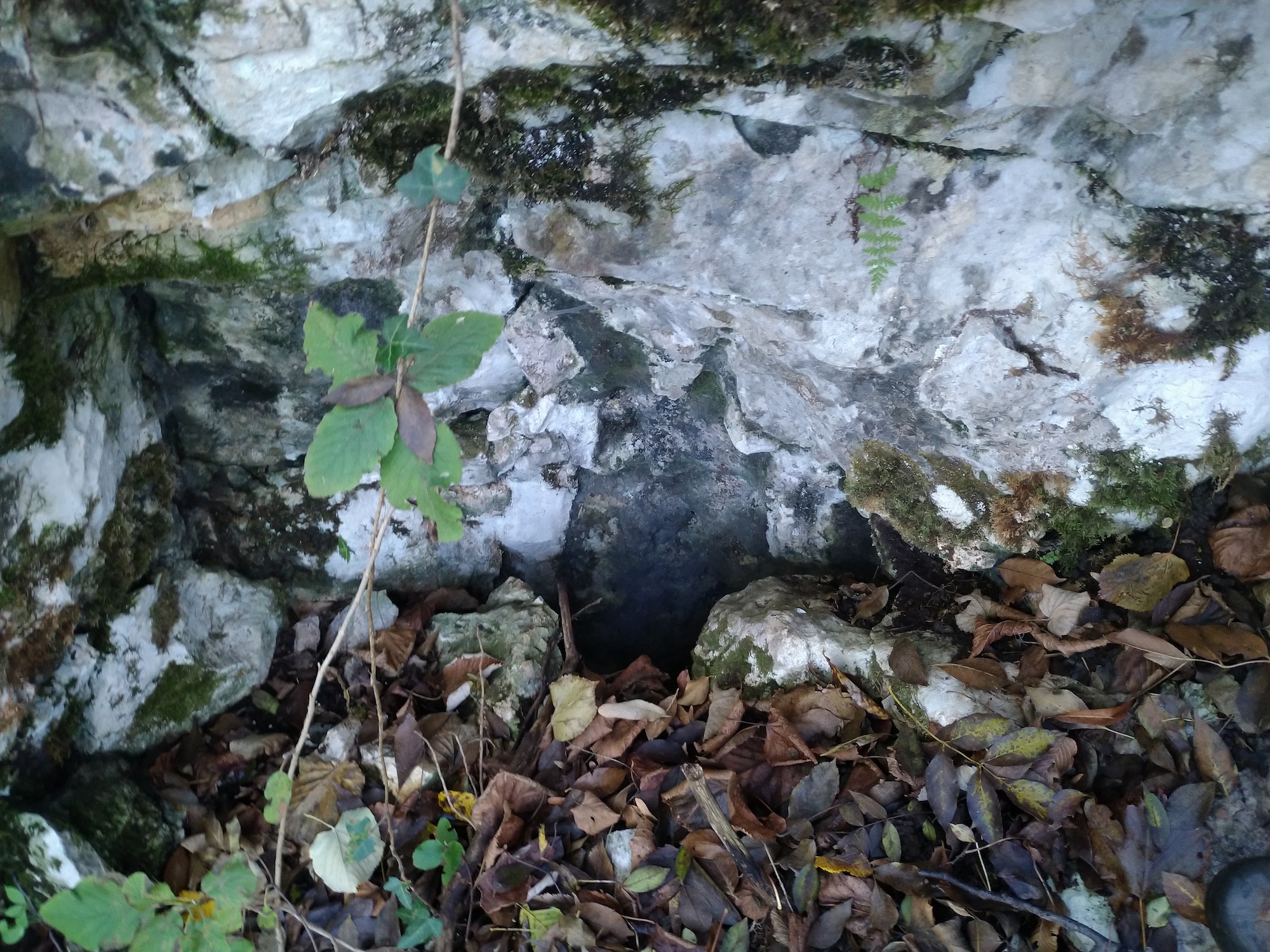 Peștera Vulturului - Image 1