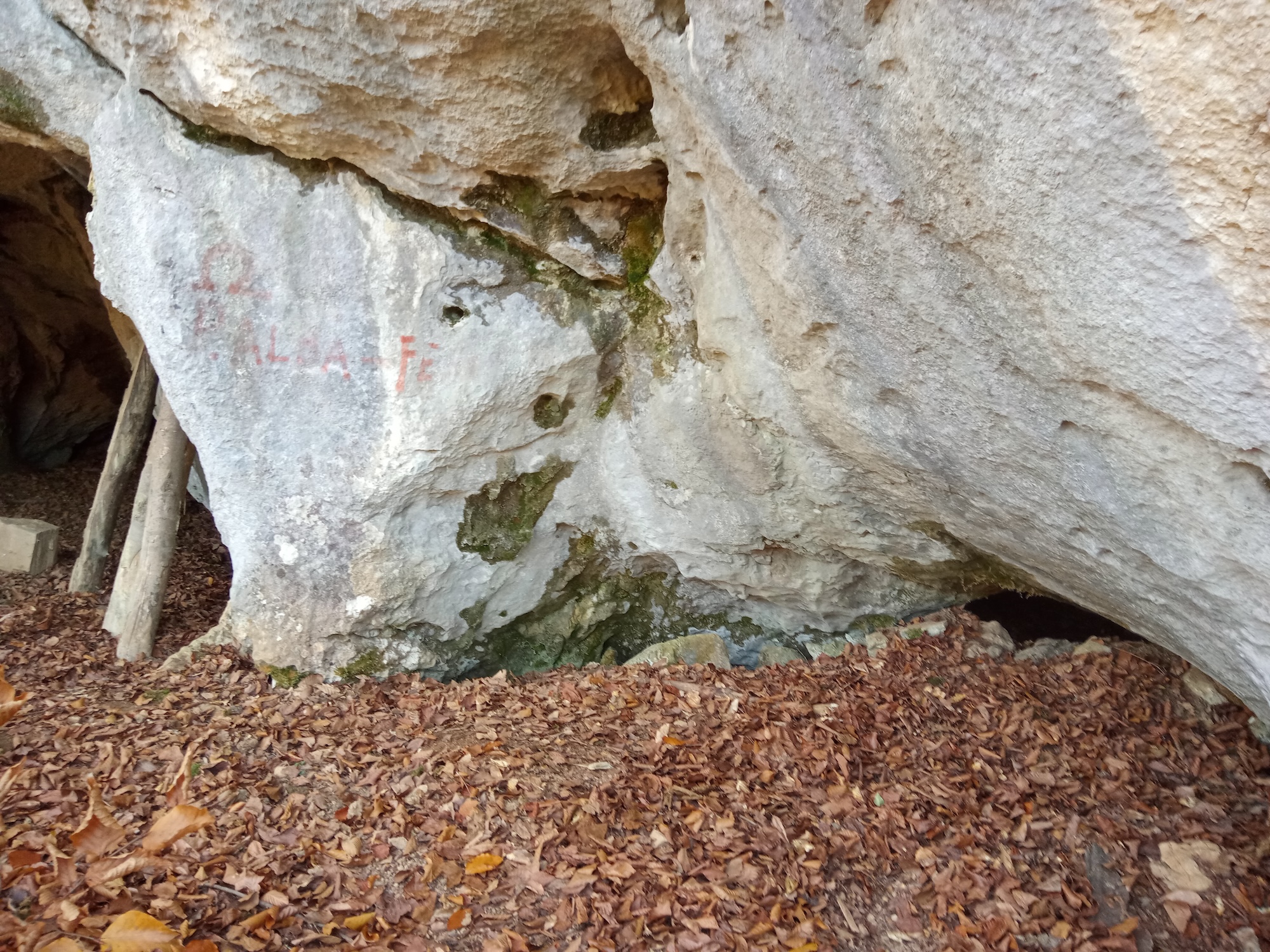 Peştera Albului din Valea Cuţii - Image 3