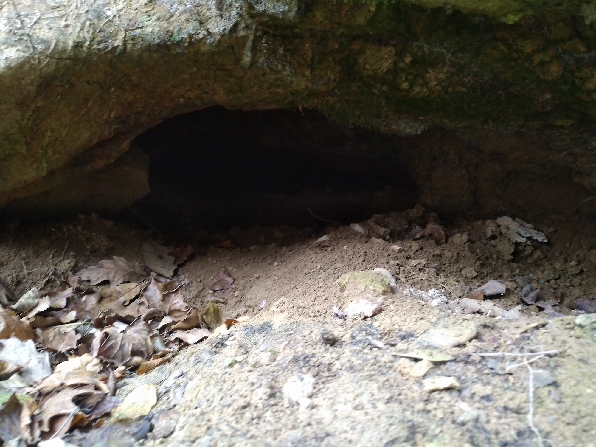 Peștera Limonia - Image 1