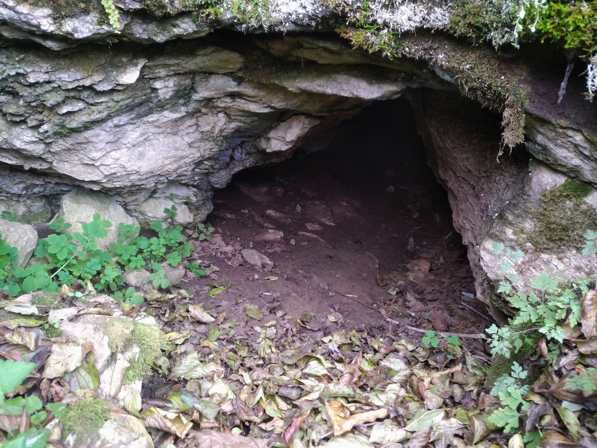 Peștera de sub Schit - Image 1