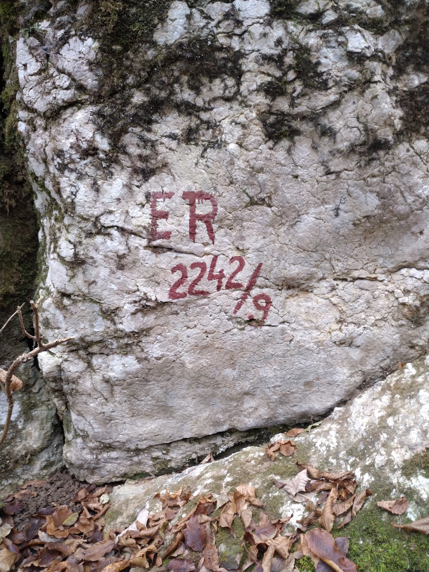 Peștera Izvor - Image 4