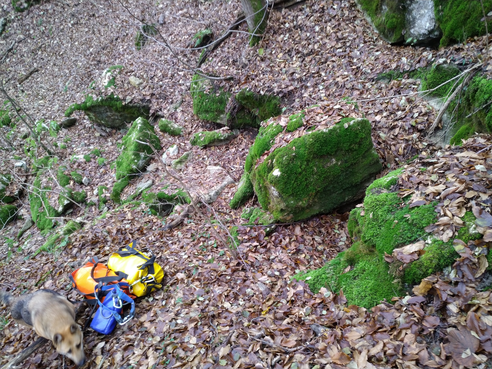 Peștera Izvor - Image 3