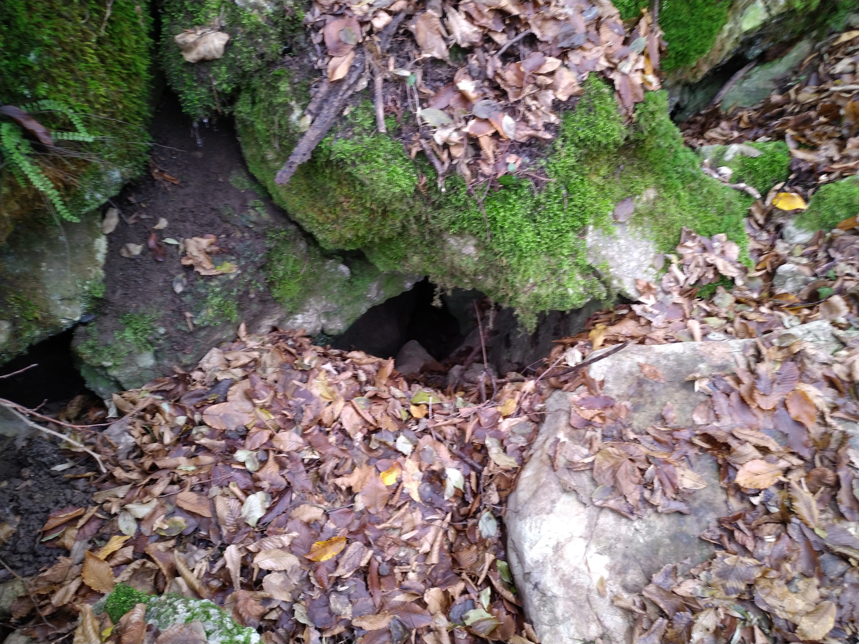 Peștera Izvor - Image 1