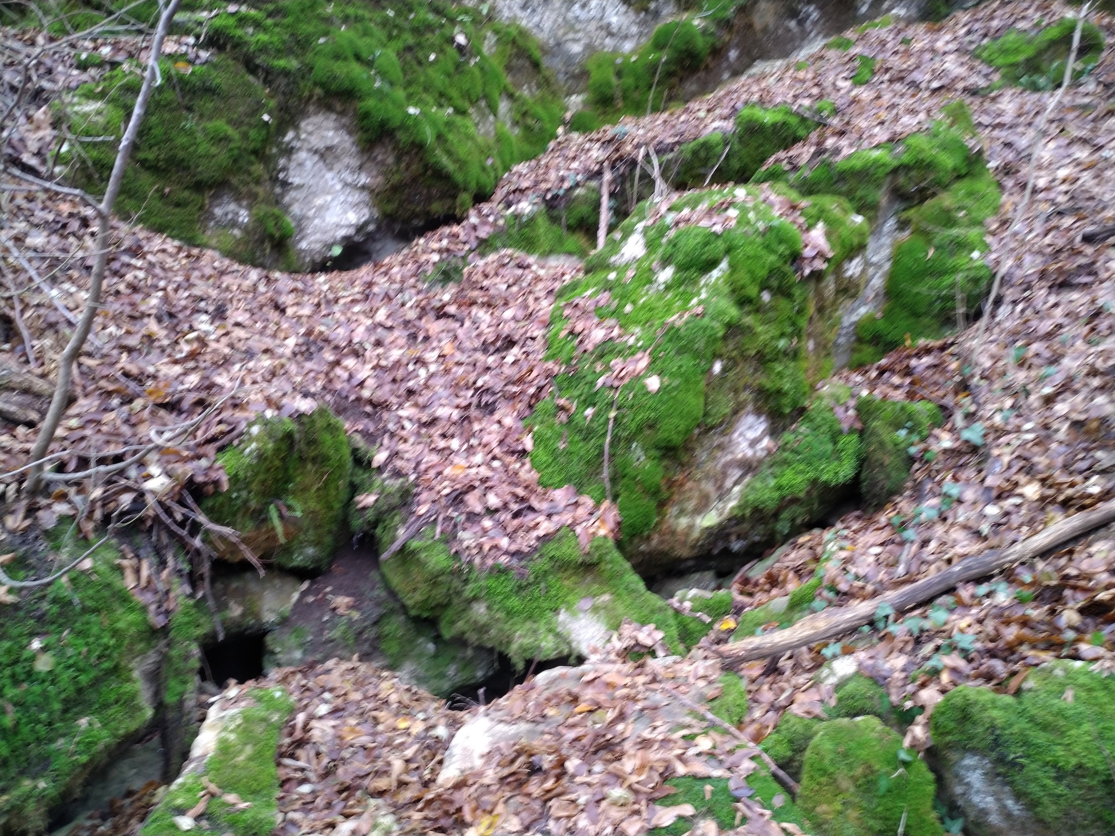 Peștera Izvor - Image 2