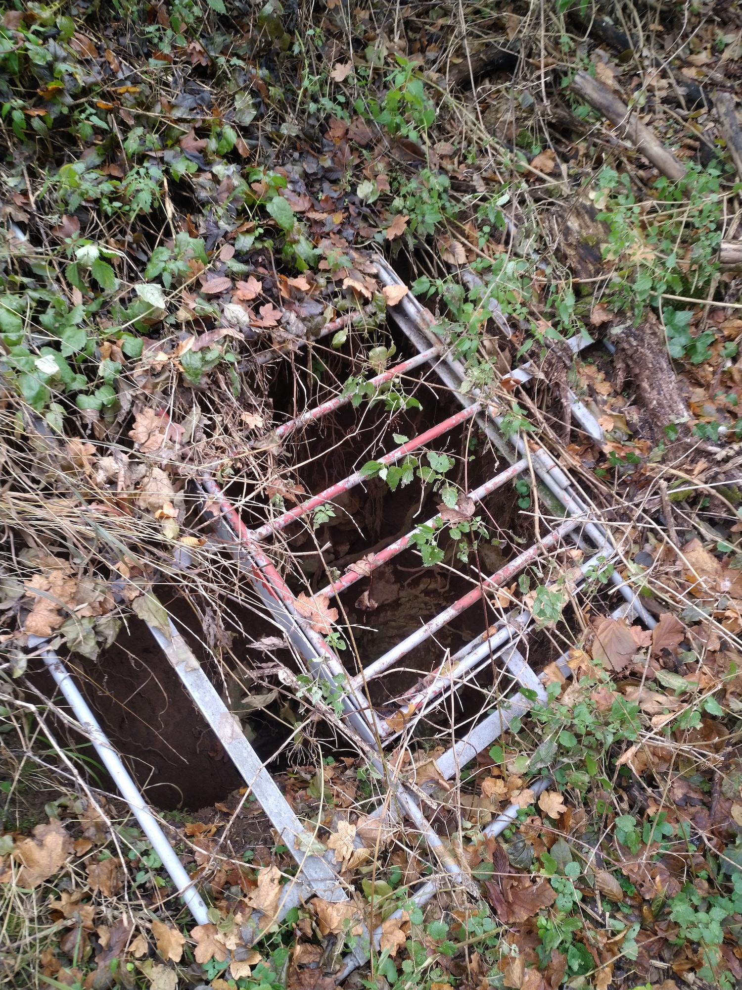 Avenul de la Salaşul lui Cocora - Image 4