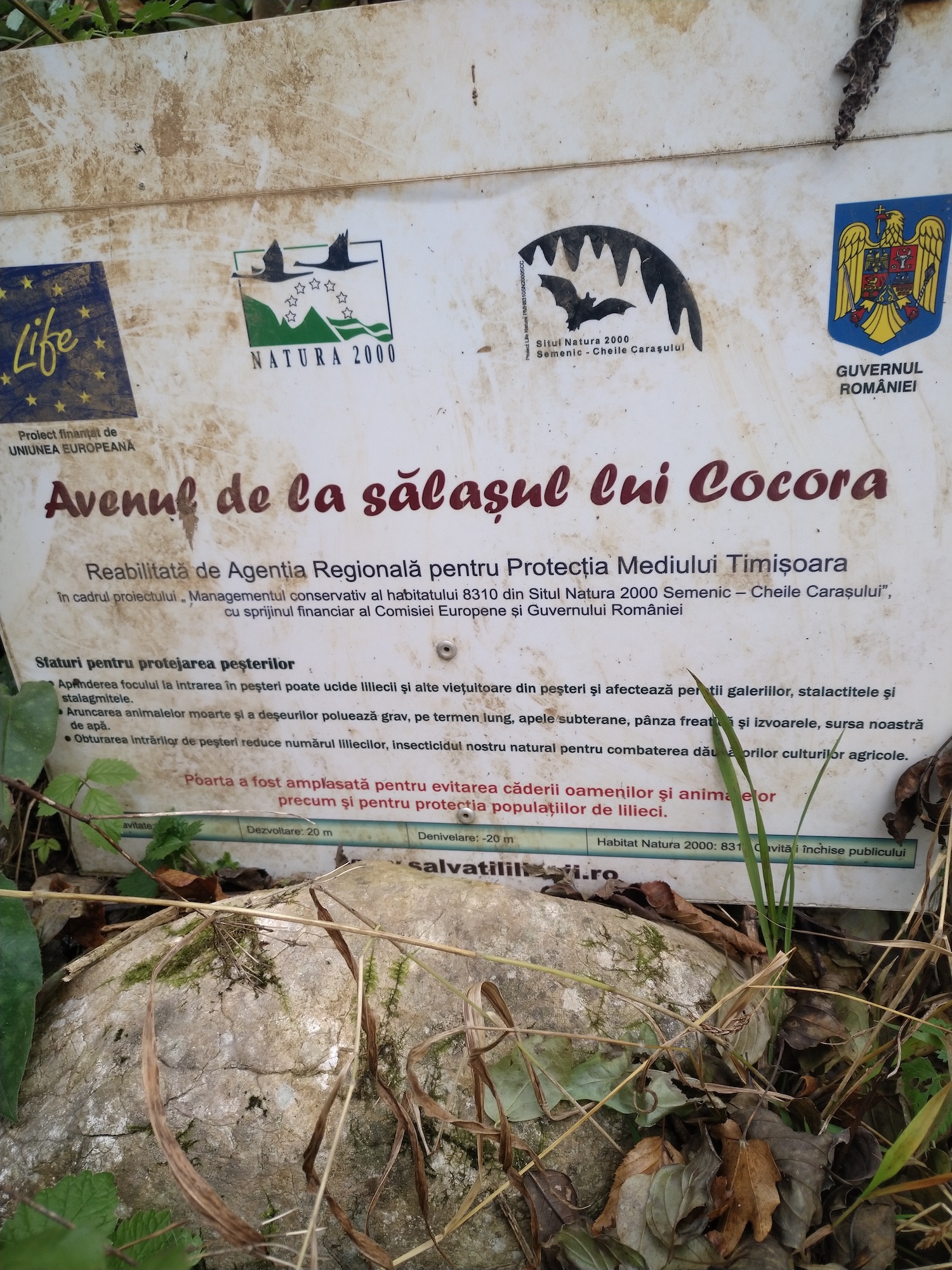 Avenul de la Salaşul lui Cocora - Image 2