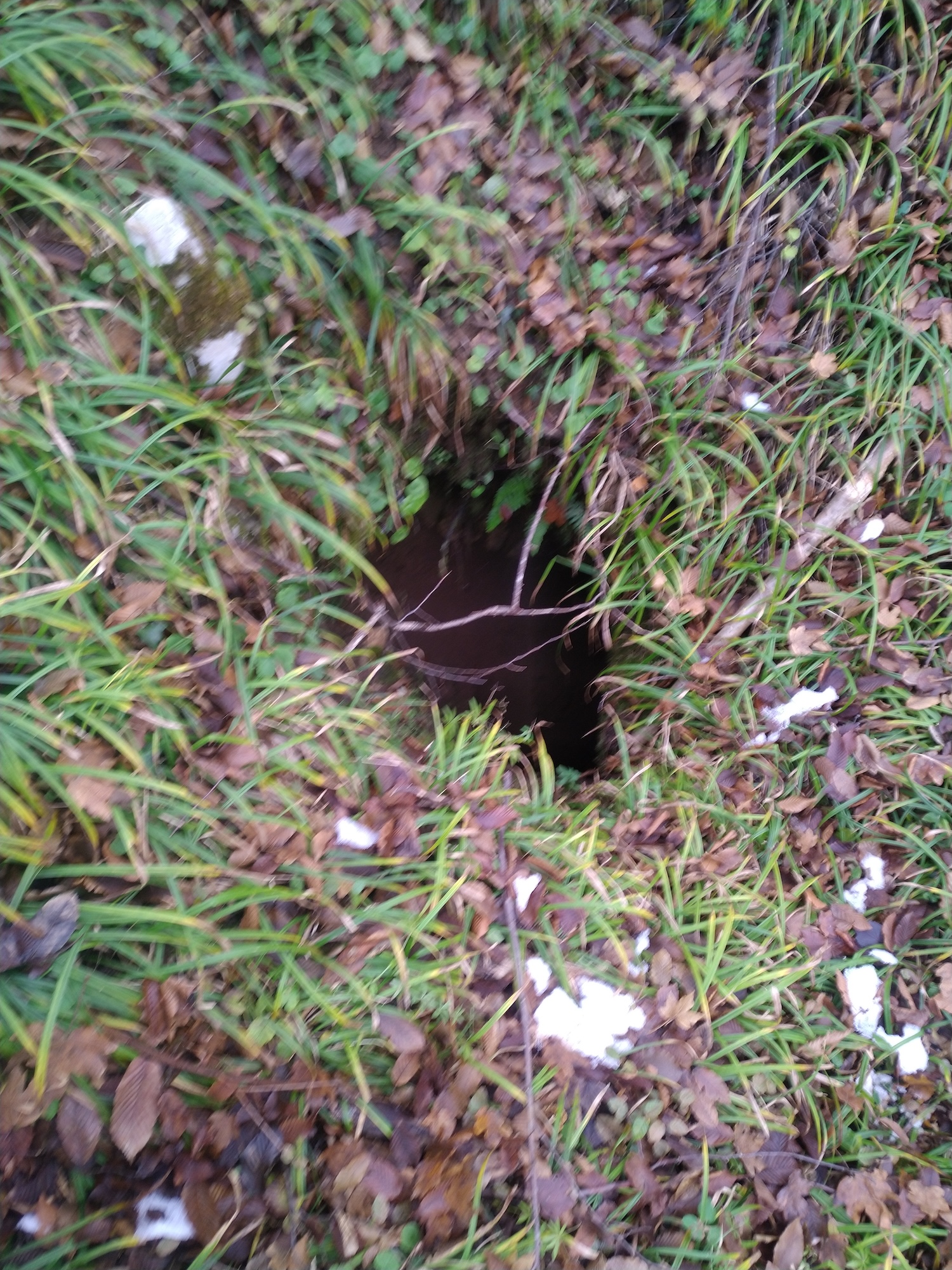 Avenul Nuntașilor - Image 2