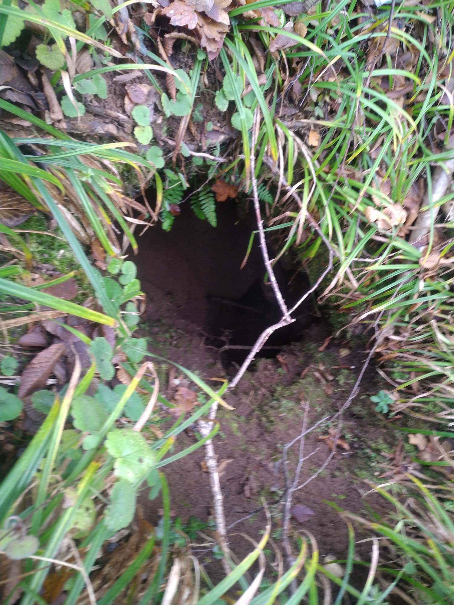 Avenul Nuntașilor - Image 1