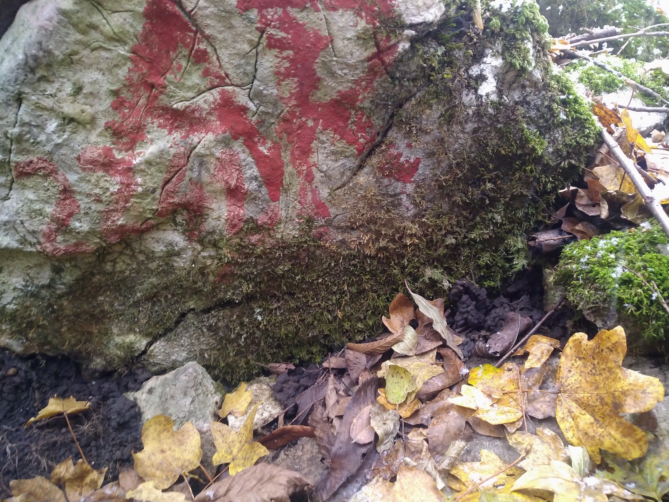 Avenul Dintre Doline - Image 5