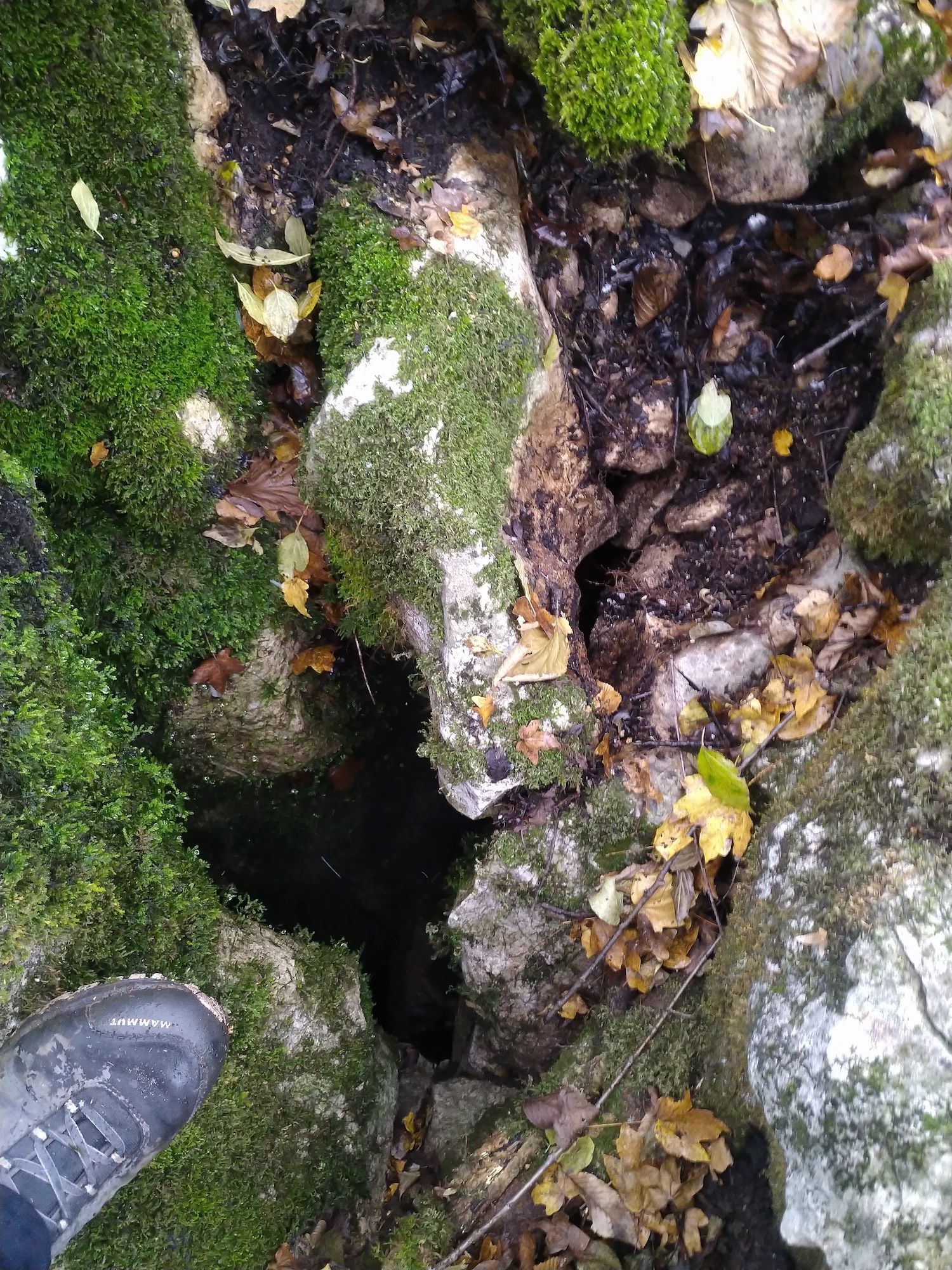 Avenul Dintre Doline - Image 1