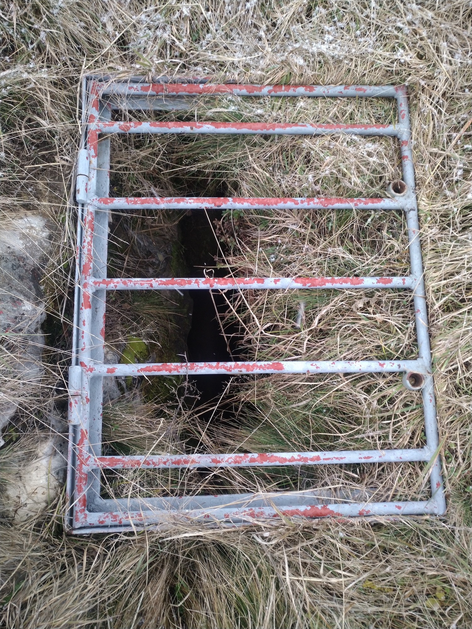 Avenul din Grădină - Image 2