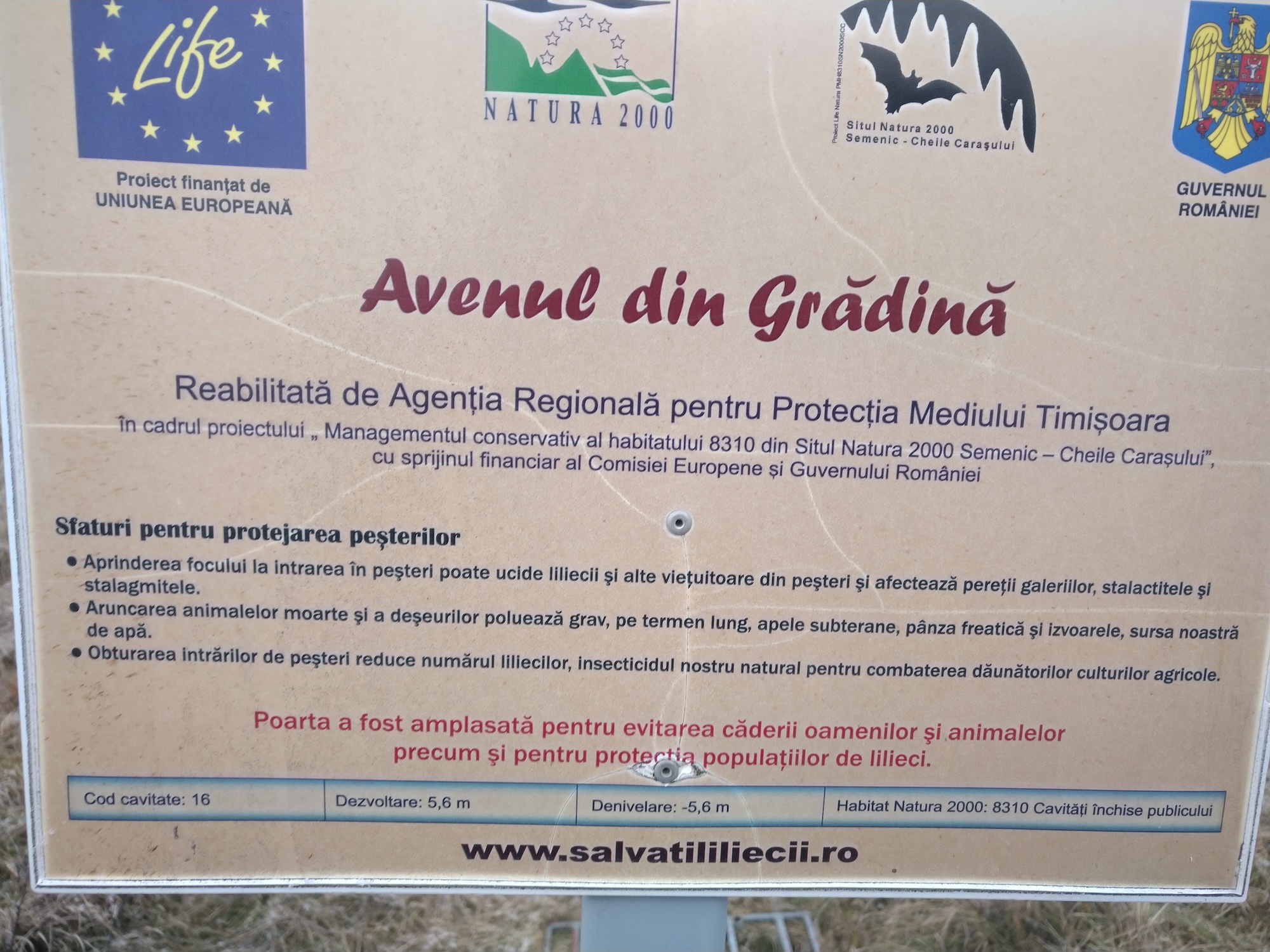 Avenul din Grădină - Image 3