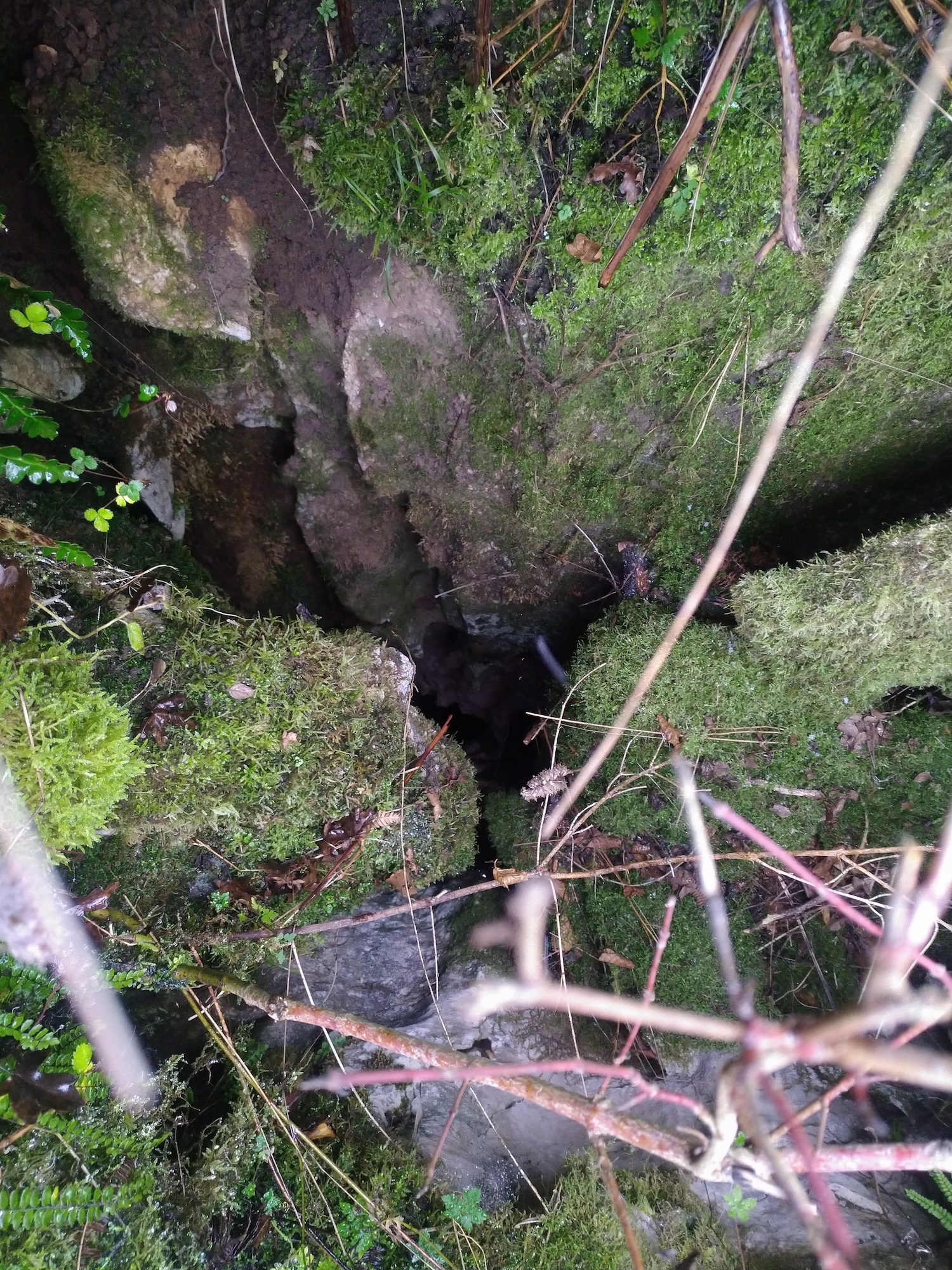 Avenul Mare - Image 4