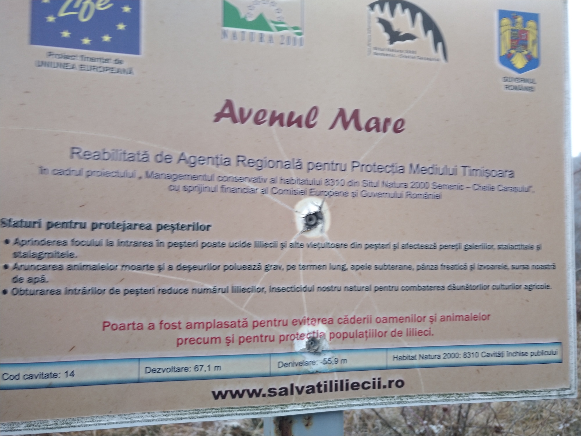 Avenul Mare - Image 3