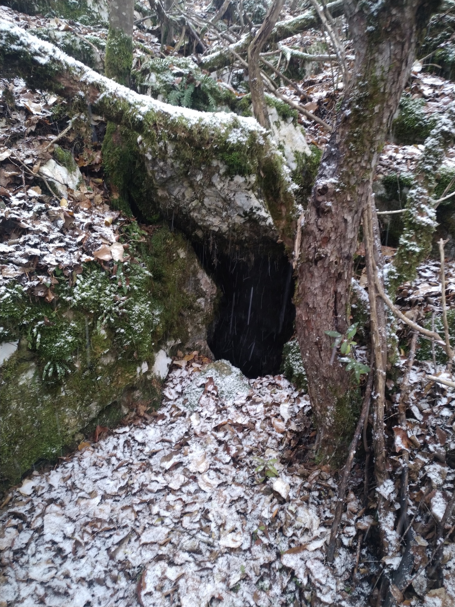 Avenul Ienupărului - Image 1