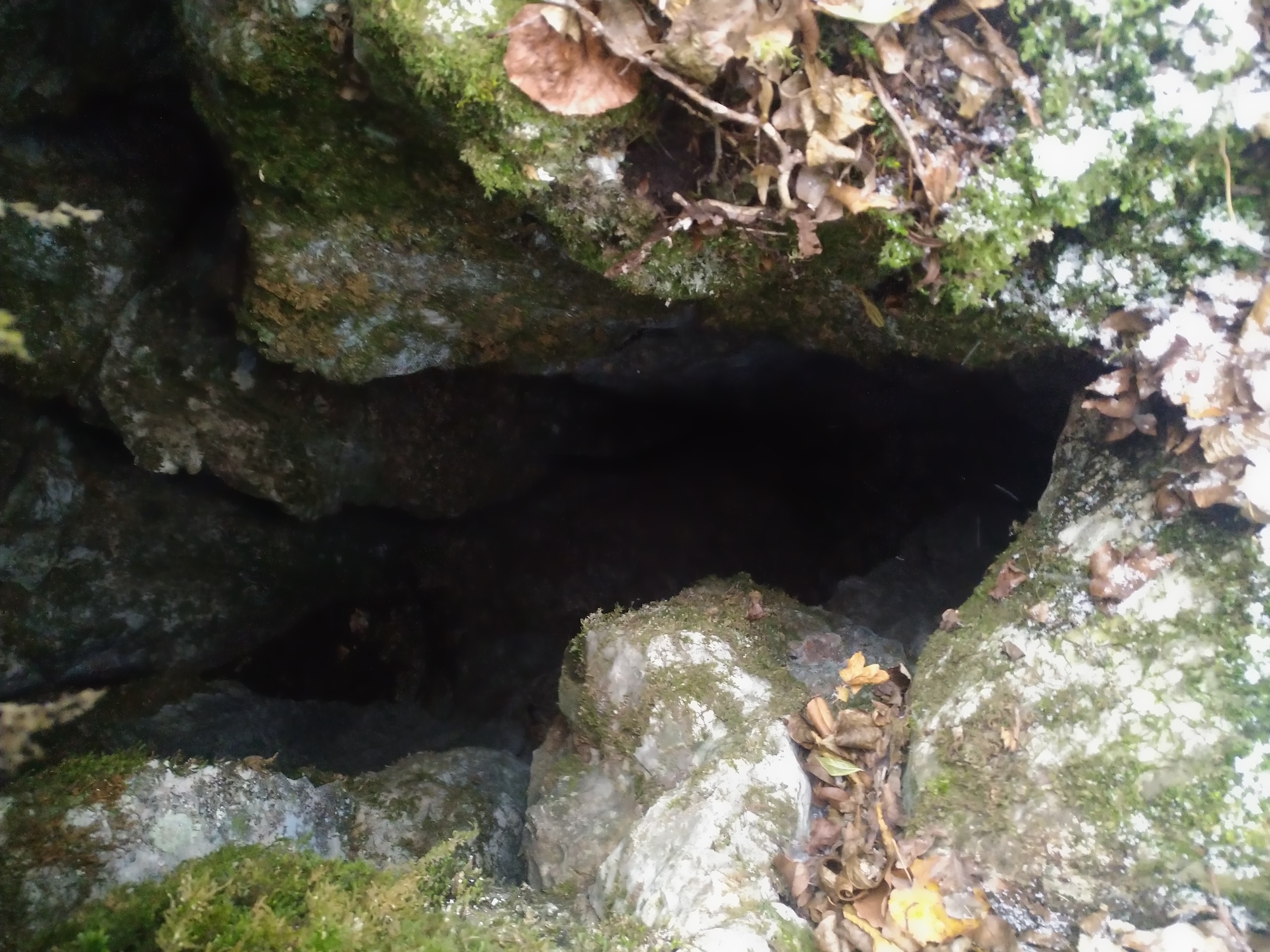 Avenul Ienupărului - Image 2